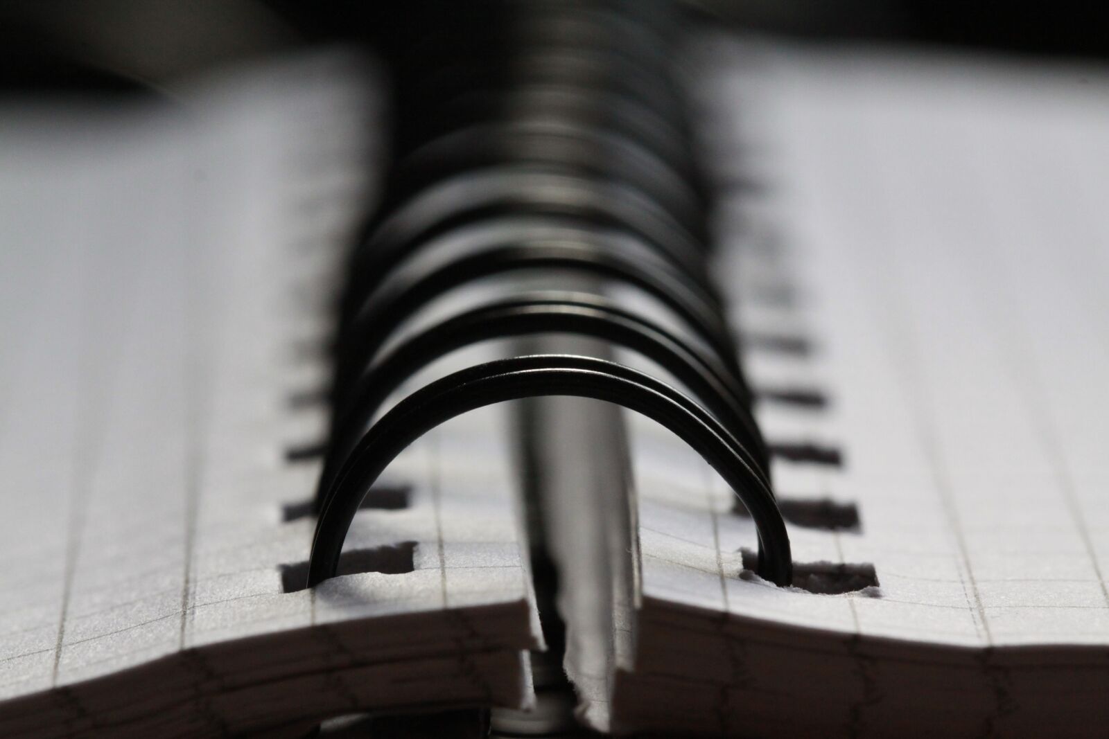 Canon EOS 50D sample photo. Spiral, macro, notebook photography