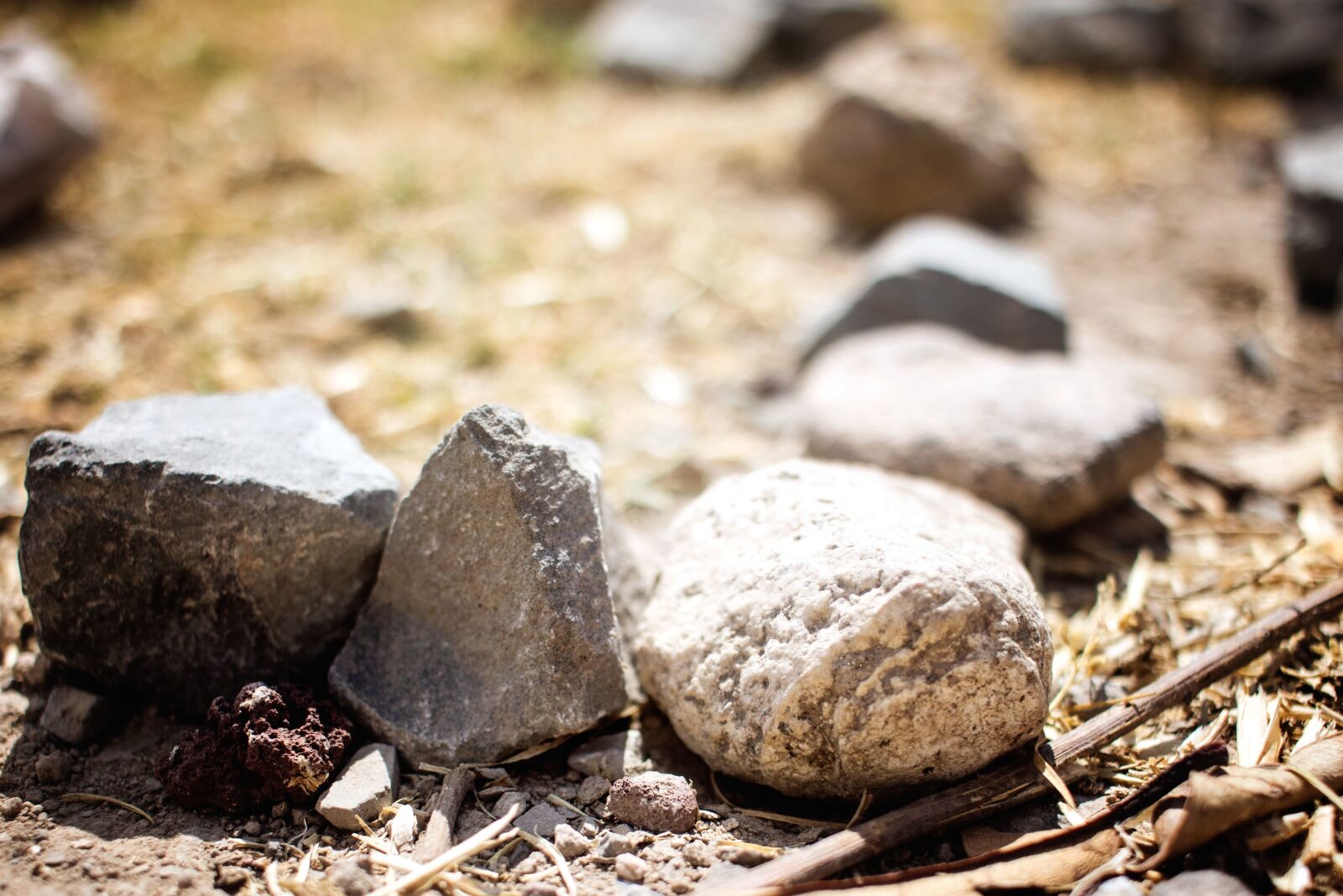 Canon EOS 760D (EOS Rebel T6s / EOS 8000D) sample photo. Stone, ground, texture photography