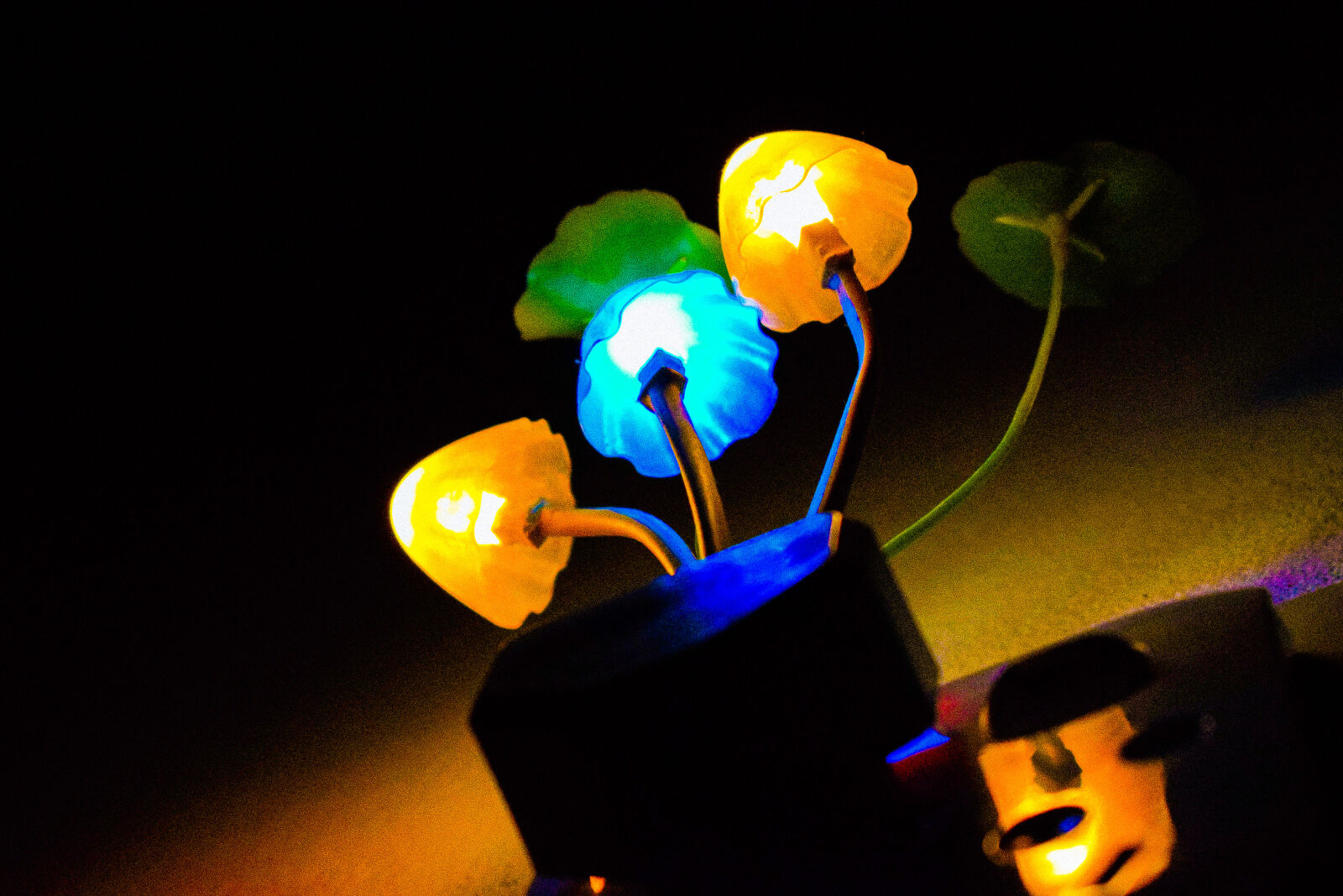 Nikon D5300 sample photo