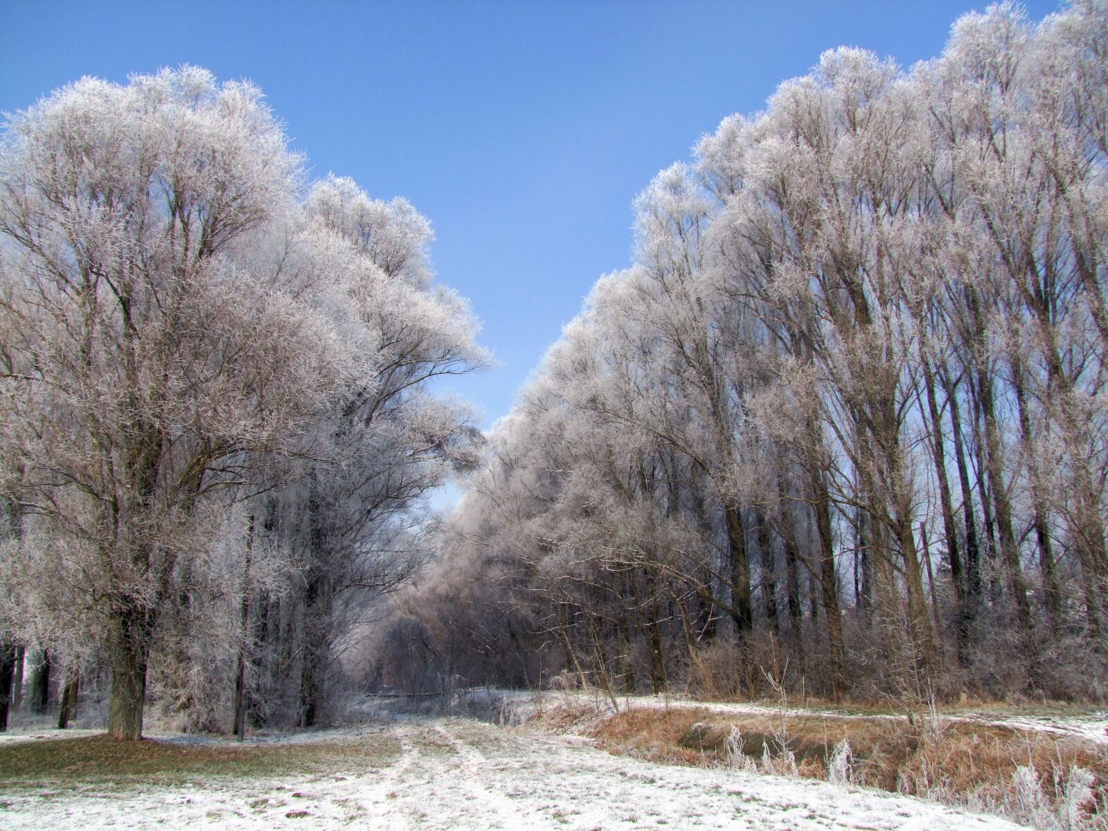 Fujifilm FinePix S100fs sample photo. Winter landscape, snowy, hoary photography