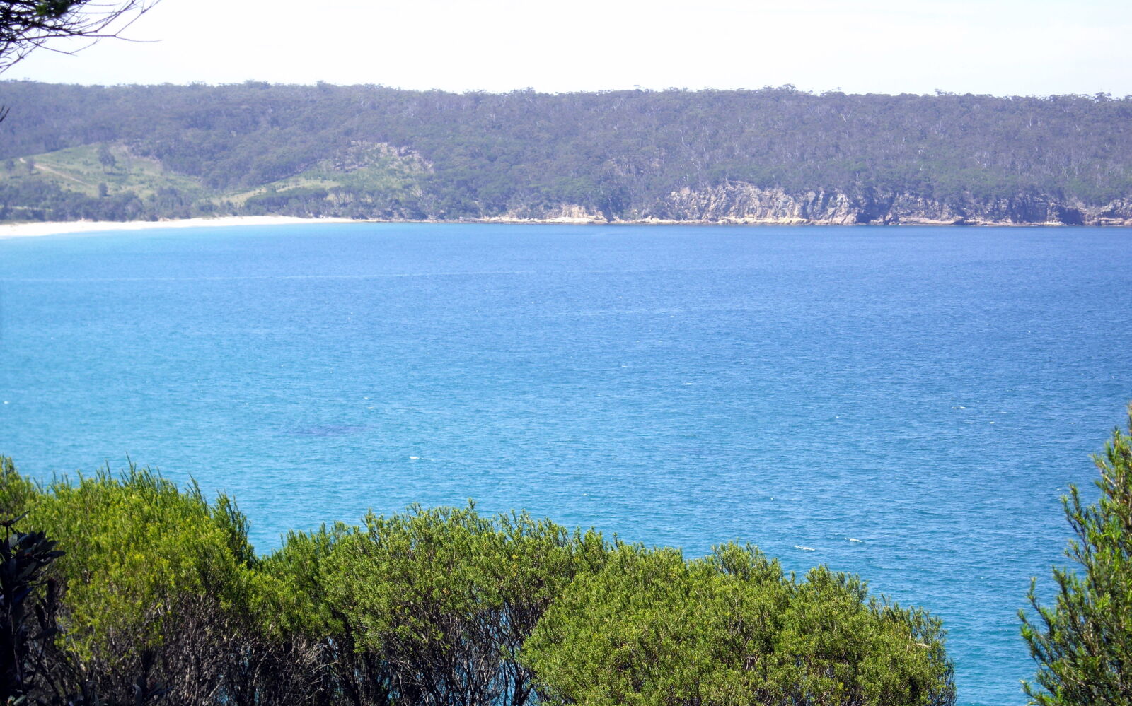 Pentax Optio S12 sample photo. Australia, eden, imlay, park photography