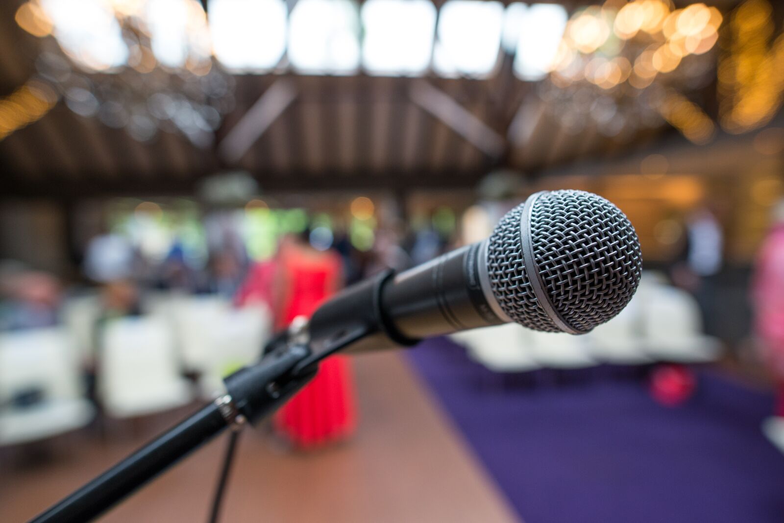 Nikon D610 sample photo. Microphone, close up, audio photography