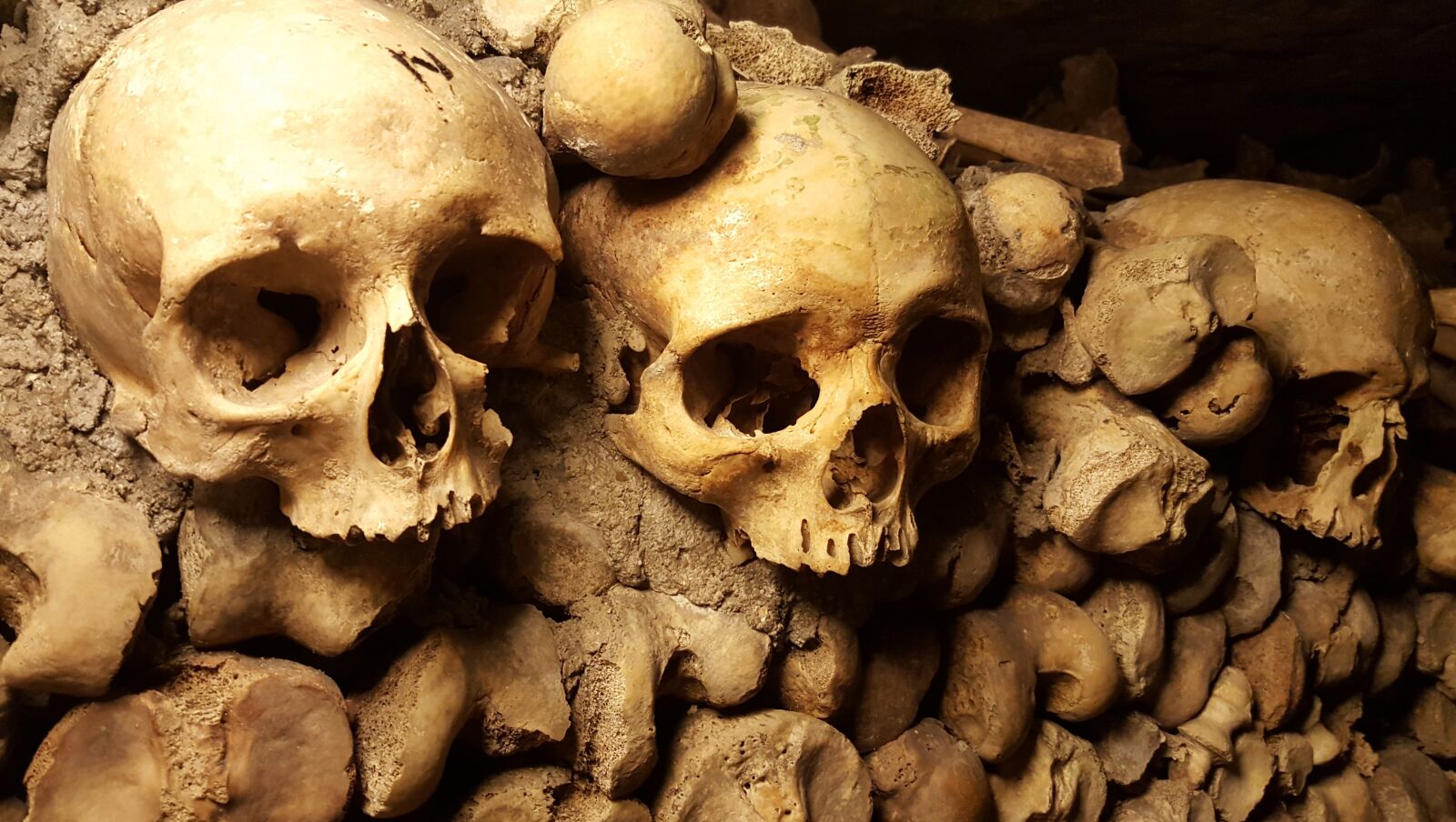 Samsung Galaxy S6 sample photo. Catacombs, paris, skulls photography