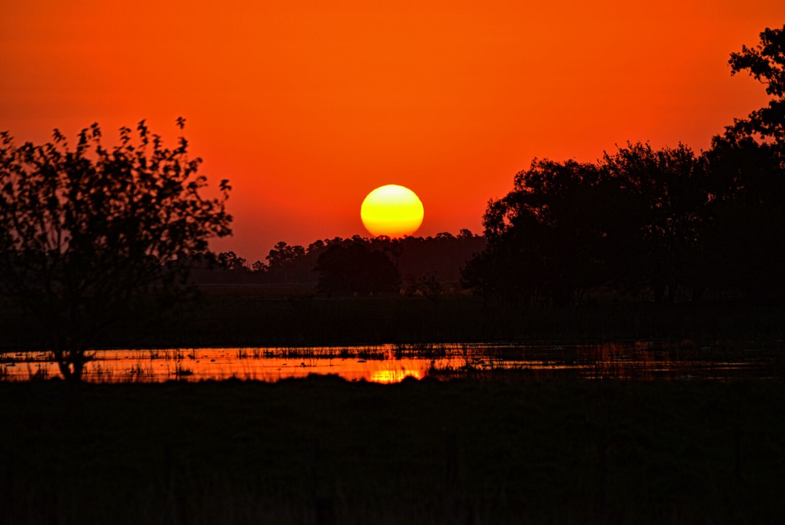 Nikon D5200 sample photo. Sunset, nature, sun photography