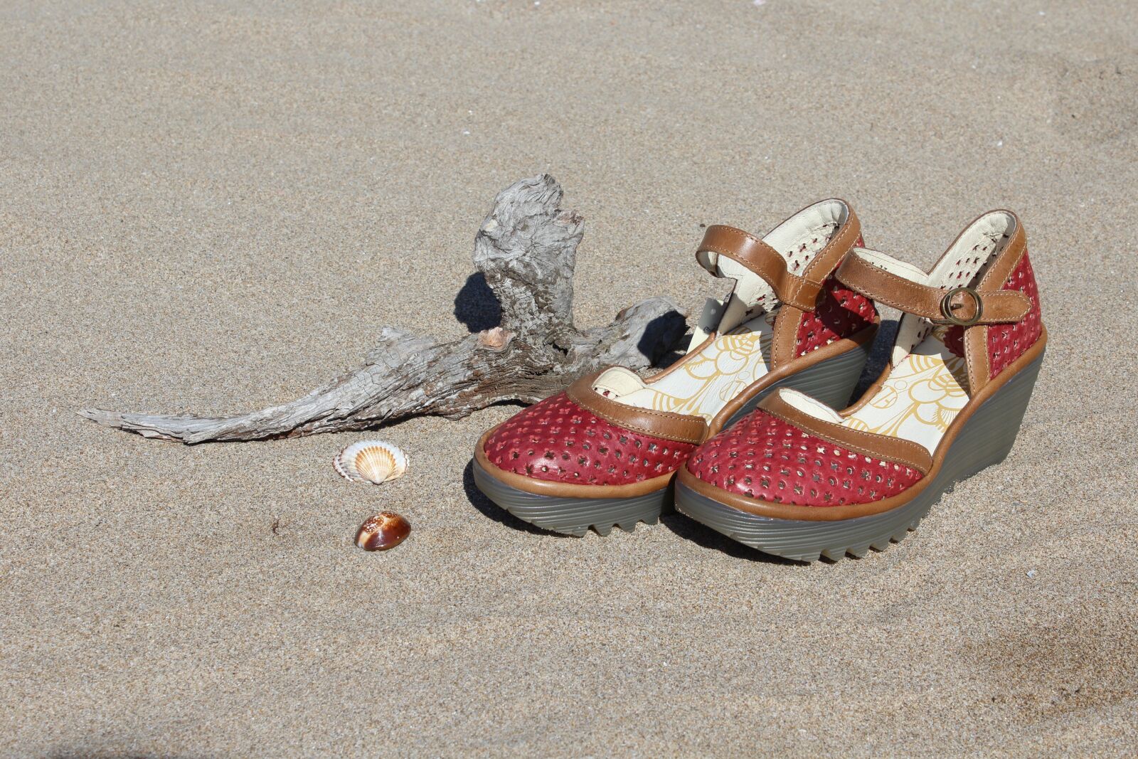 Canon EOS 1200D (EOS Rebel T5 / EOS Kiss X70 / EOS Hi) sample photo. Red shoes, ladies shoes photography