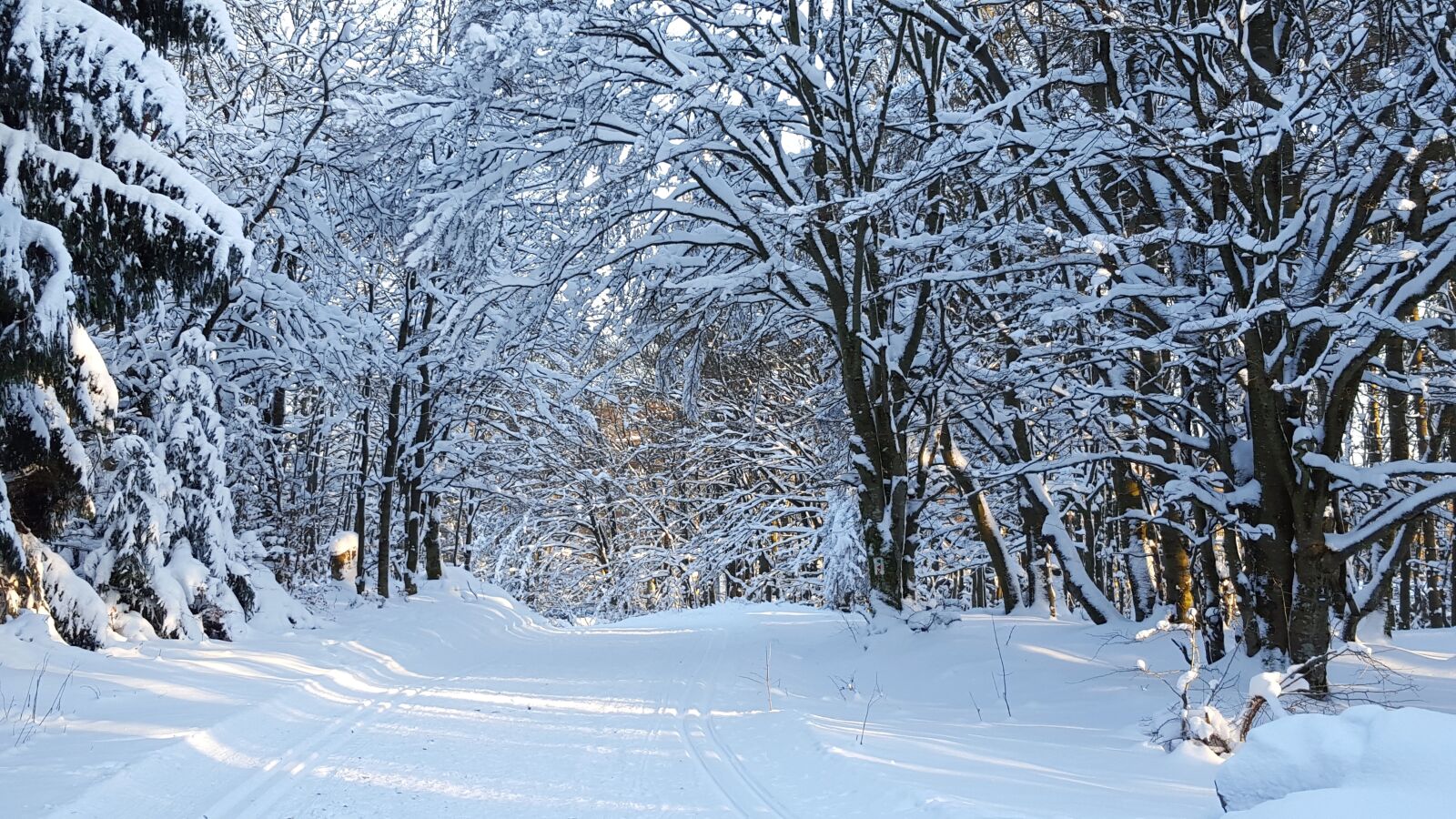 Samsung Galaxy S6 sample photo. Winter, snow, cold photography