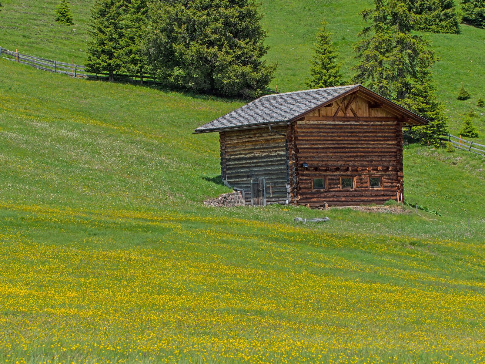 Tamron SP AF 60mm F2 Di II LD IF Macro sample photo. Alp, alpine hut, flower photography