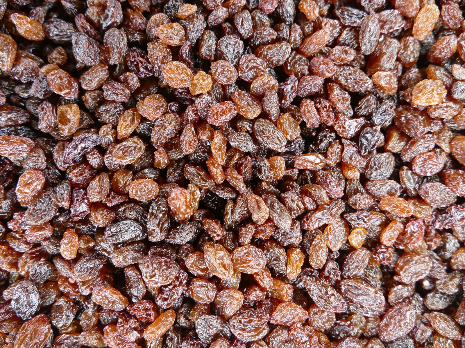 Panasonic Lumix DMC-FZ1000 sample photo. Sultanas, raisins, cibeb photography