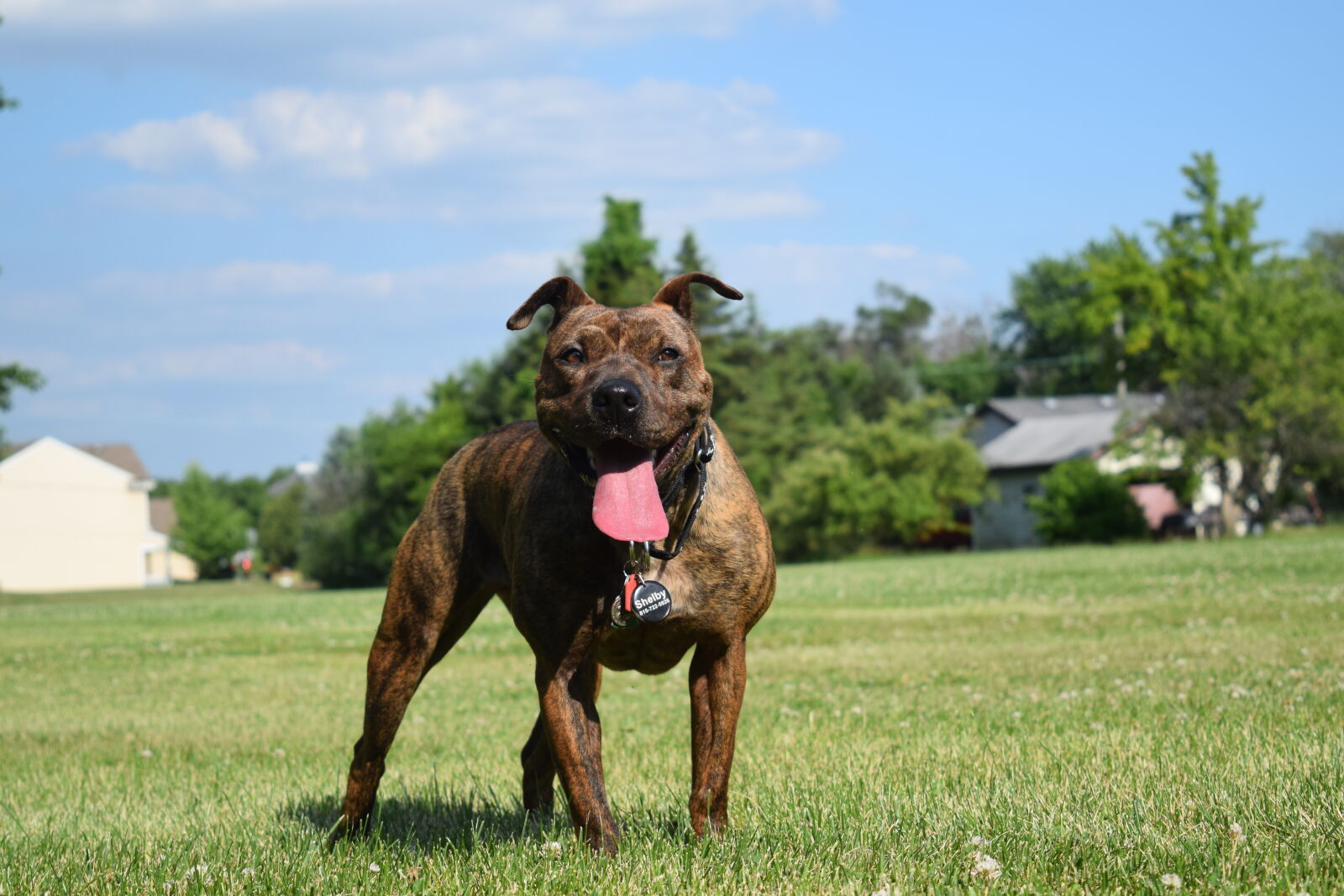 Nikon D3300 sample photo