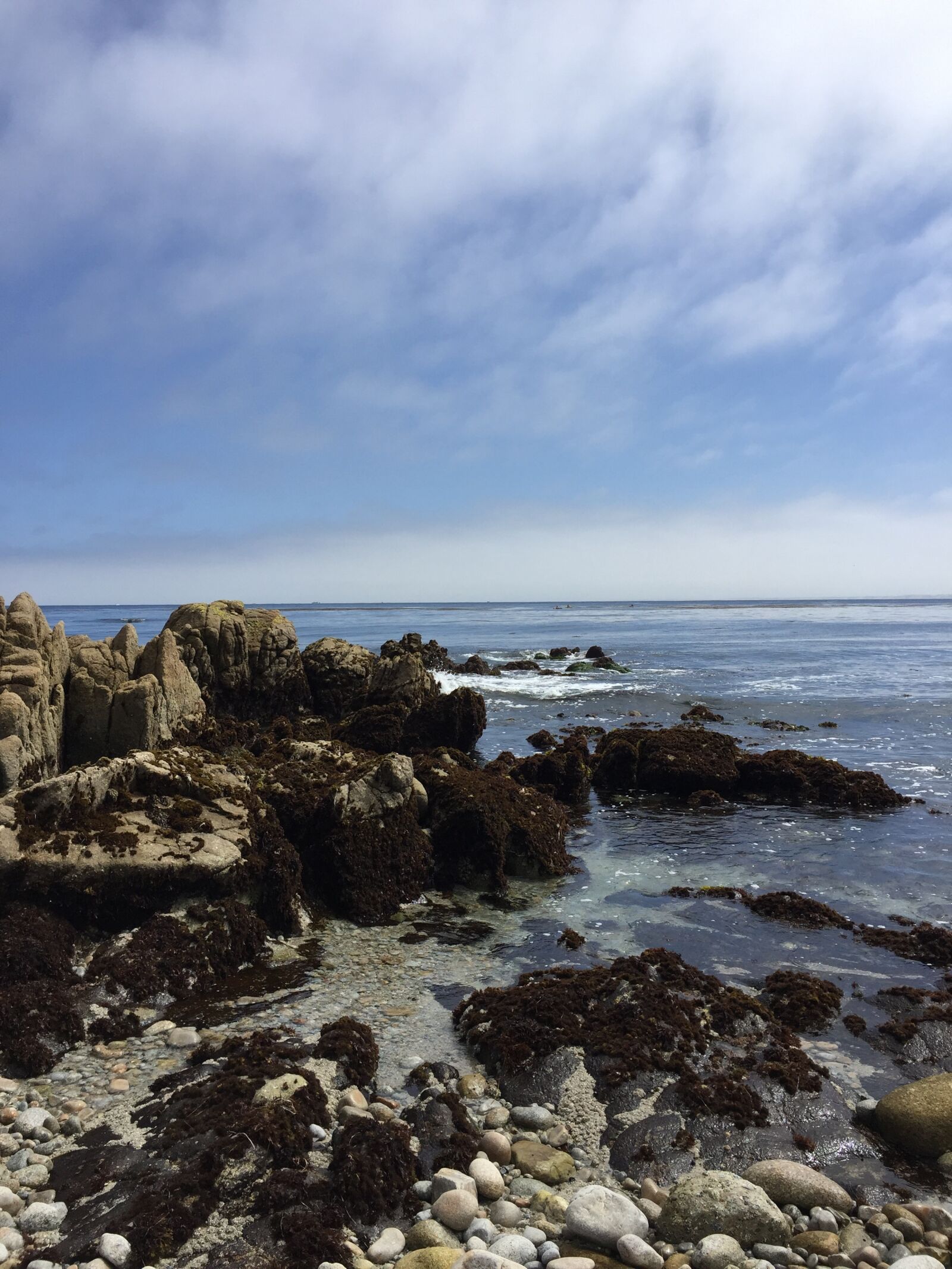 iPhone 6 Plus back camera 4.15mm f/2.2 sample photo. Asilomar beach, california, ocean photography