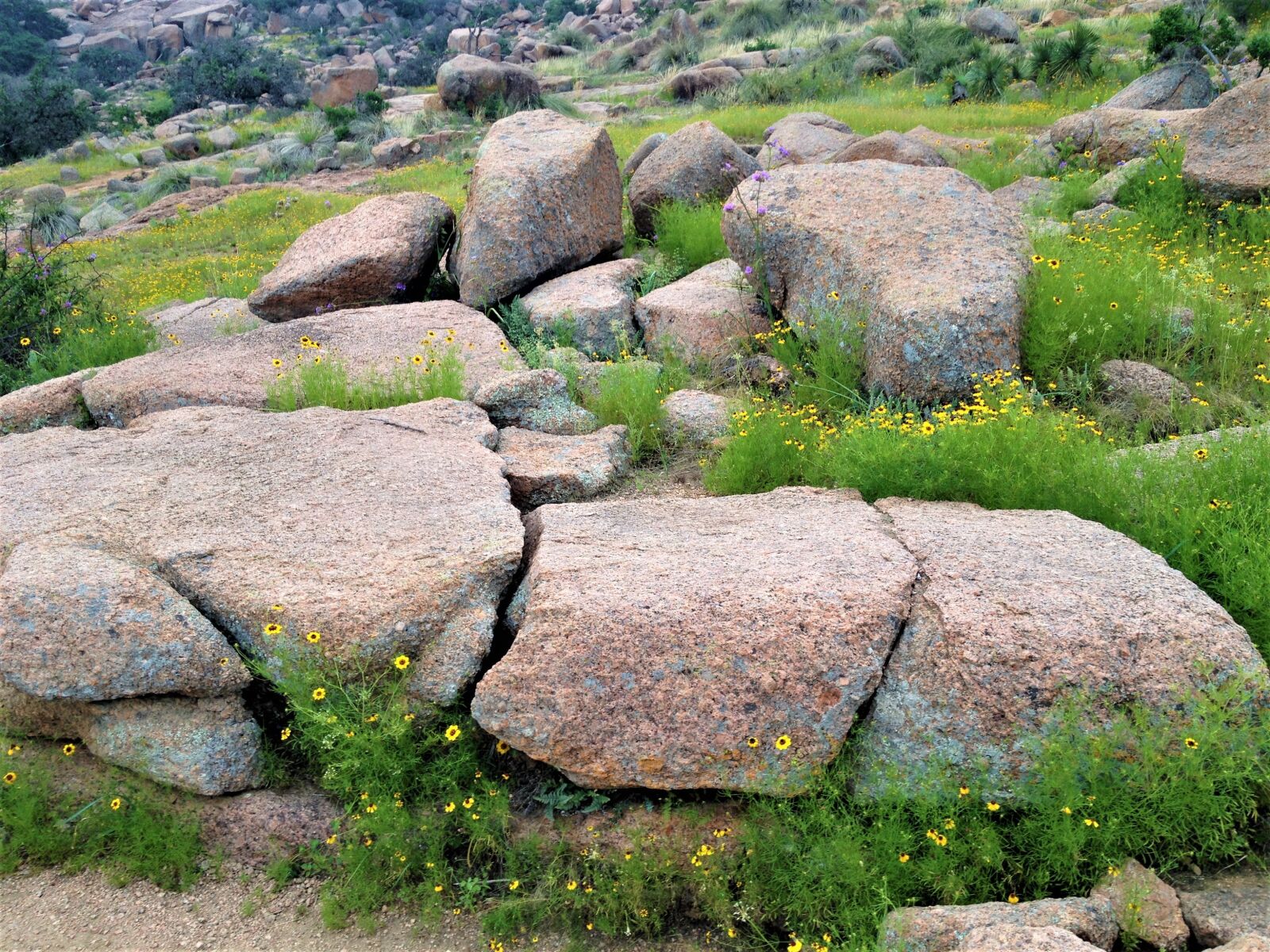 Apple iPhone 4S sample photo. Pink granite, wild flowers photography