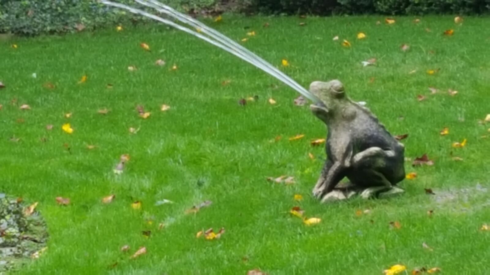Samsung Galaxy S6 sample photo. Frog, fountain photography