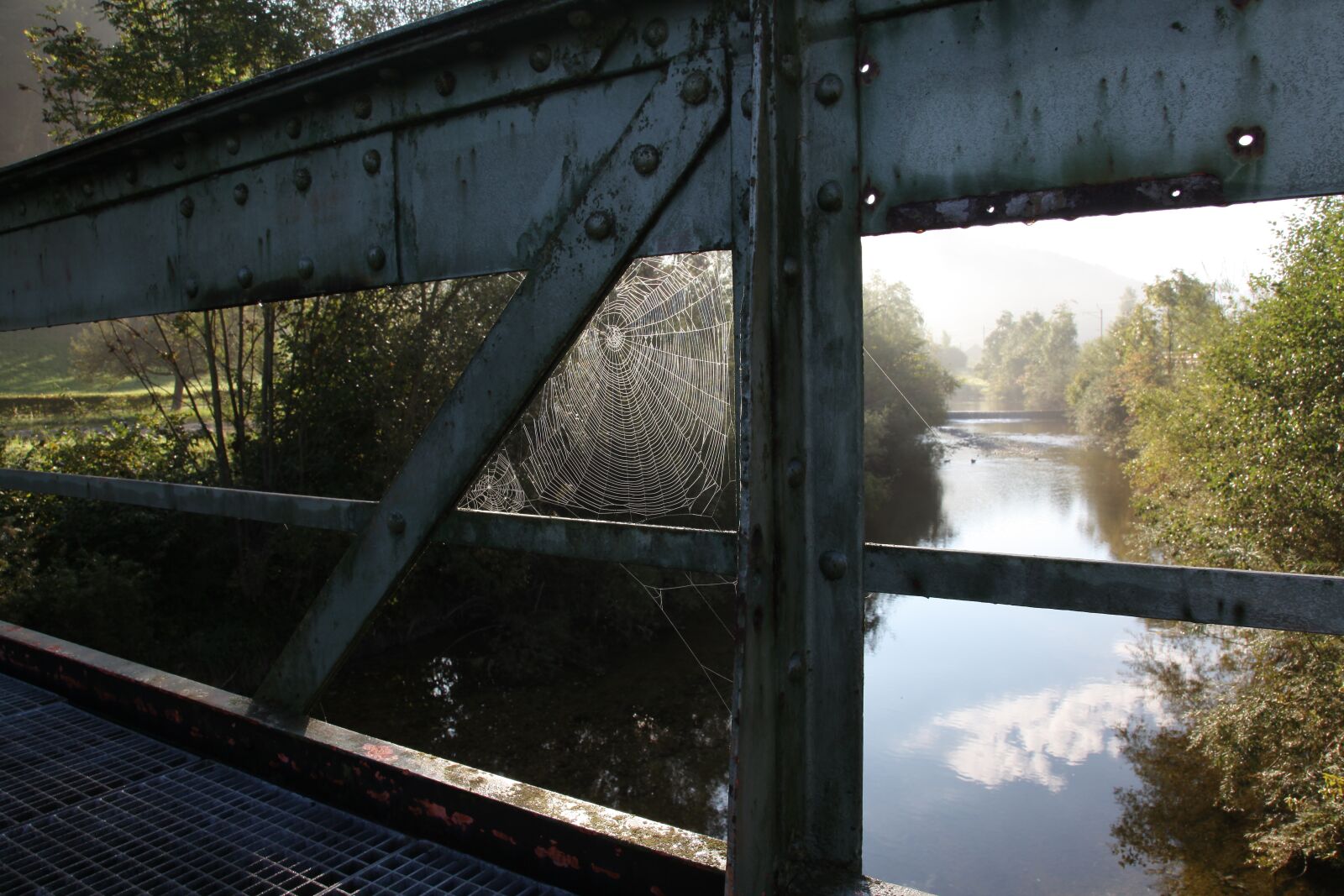 Canon EOS 5D Mark II sample photo. Cobweb, bridge, river photography
