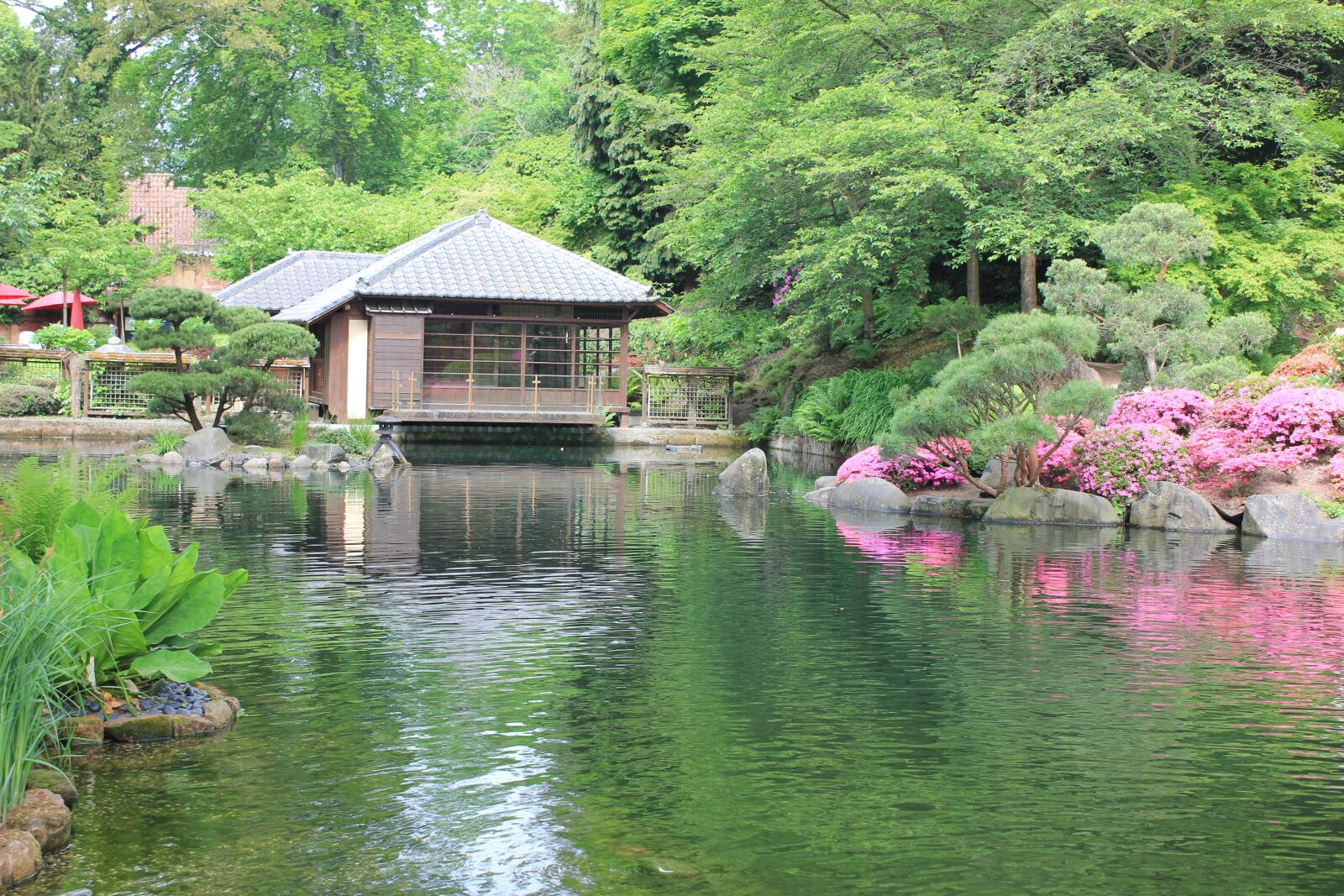 Canon EOS 550D (EOS Rebel T2i / EOS Kiss X4) sample photo. Kaiserslautern, japanese, japanese garden photography