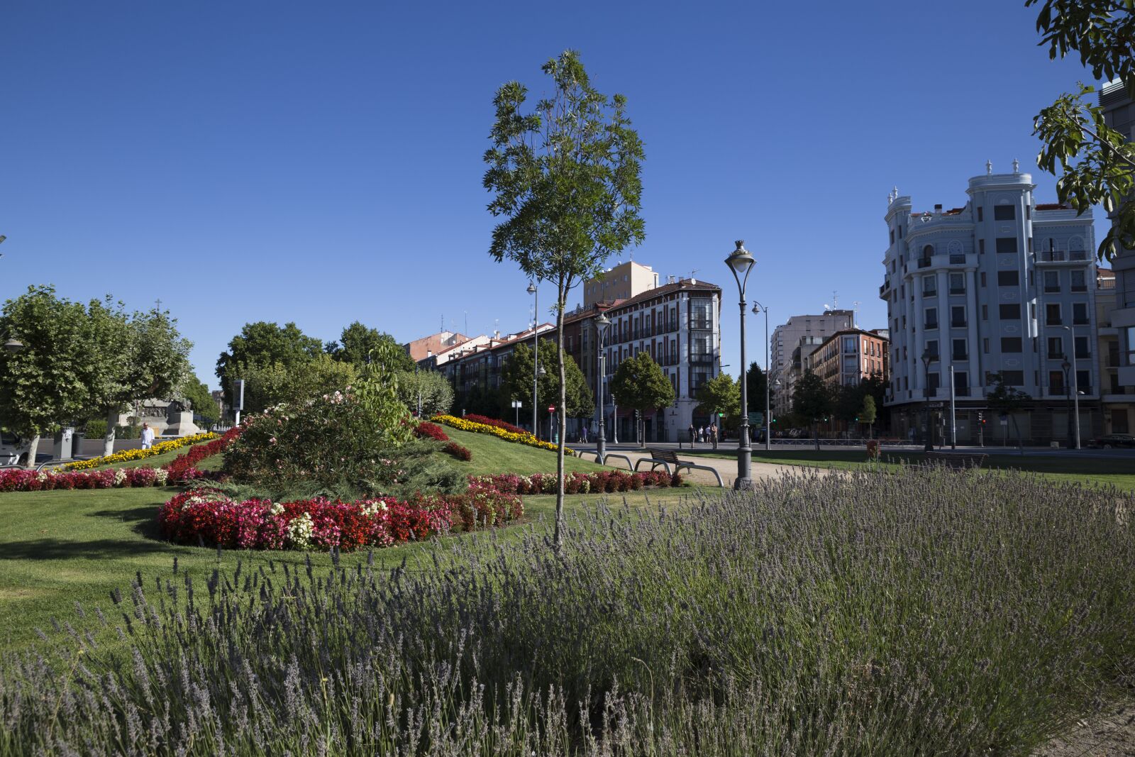 Canon EOS 6D sample photo. Park, walk, city photography