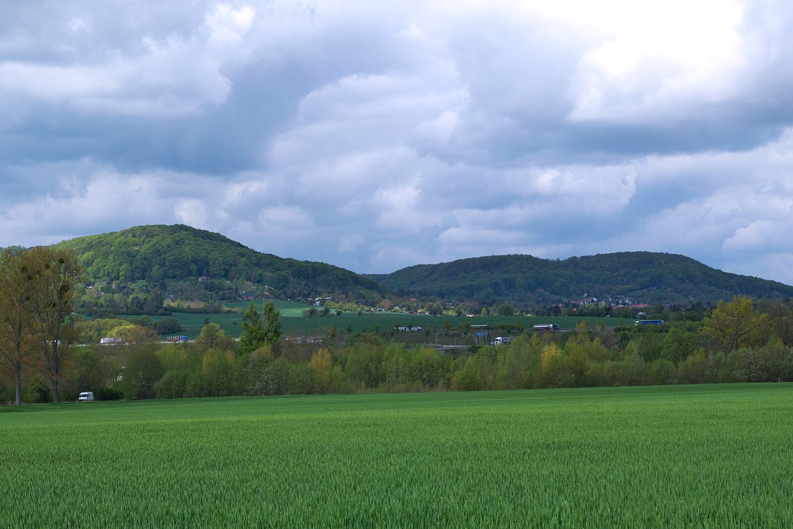 Nikon D3300 sample photo. Panorama, fields, forest photography