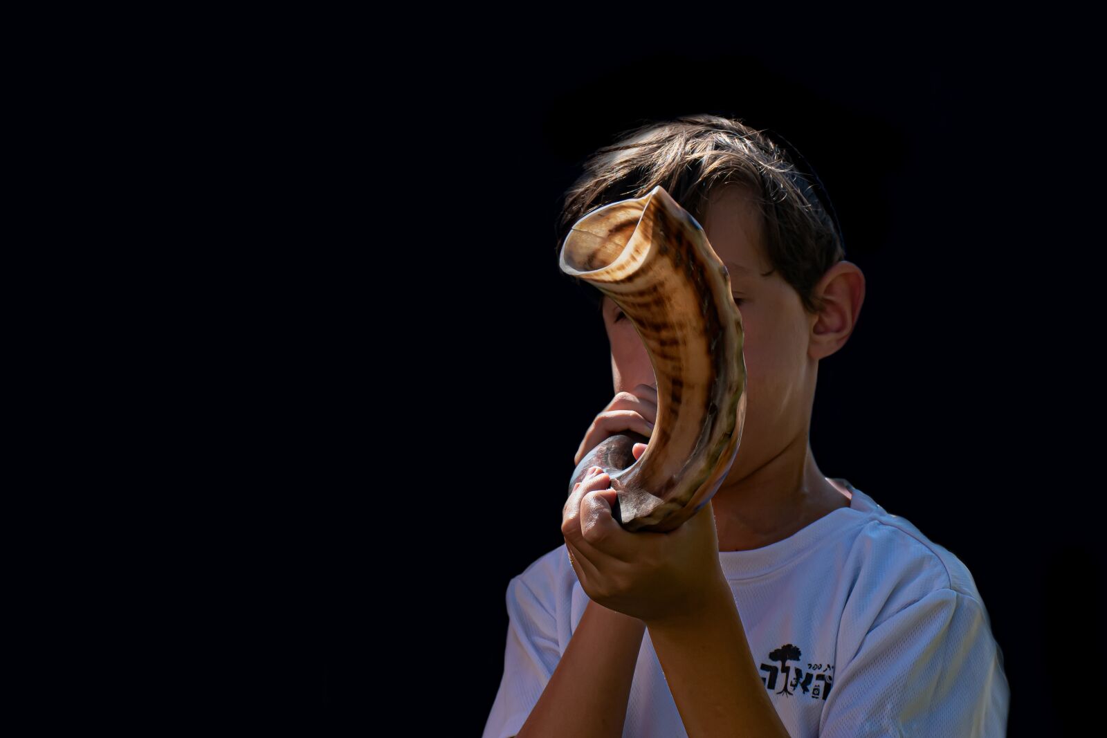 Nikon D5600 sample photo. Shofar, kid, traditional photography