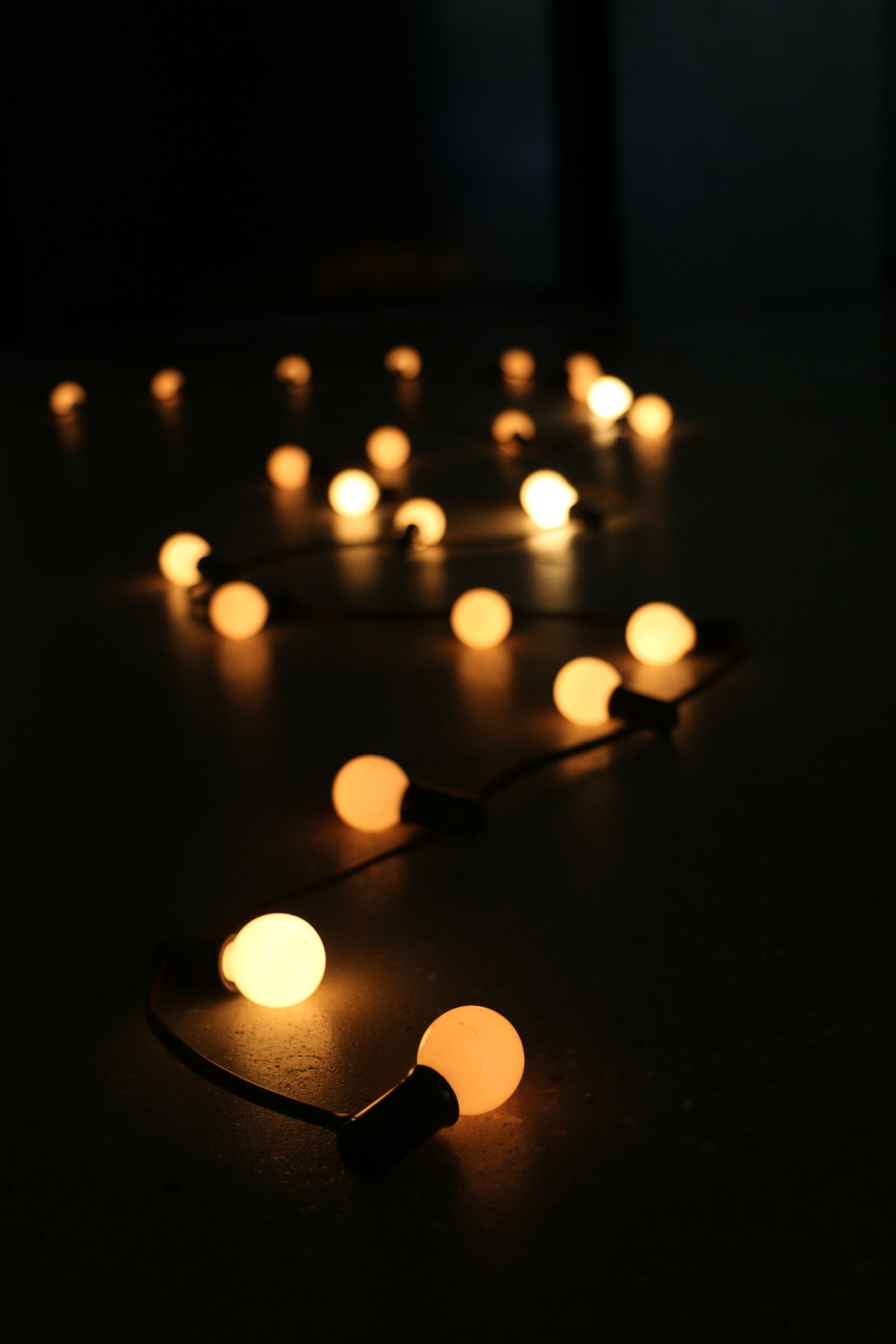Canon EOS 70D sample photo