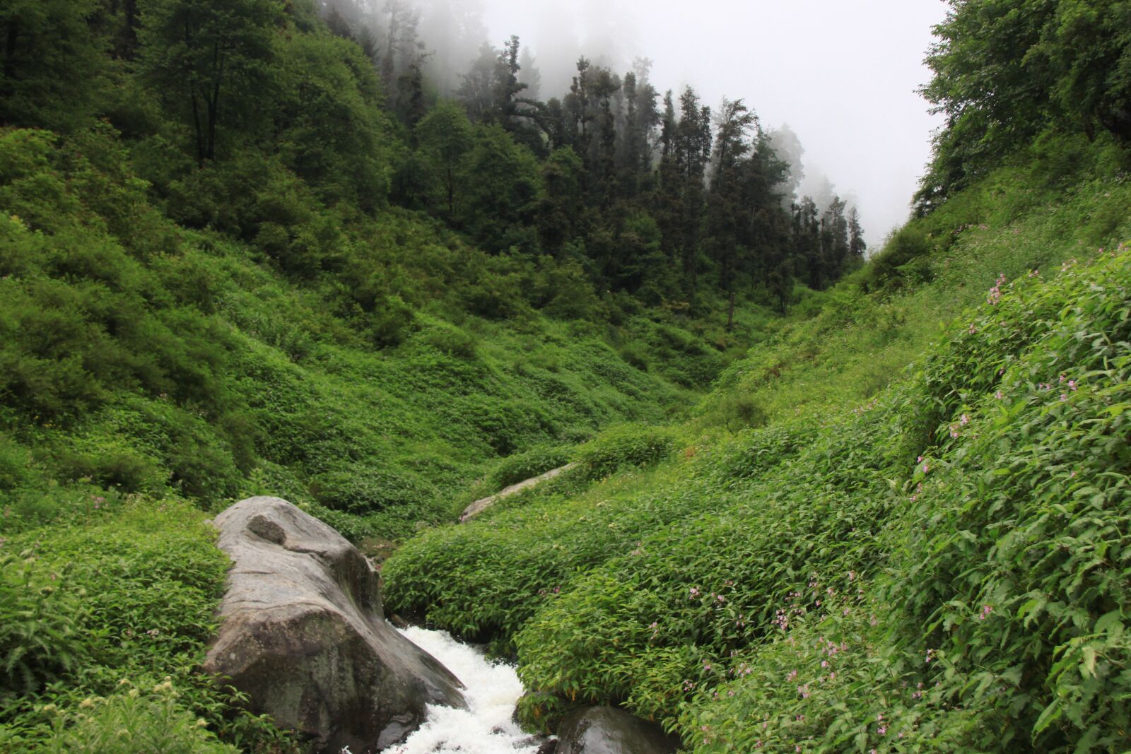 Canon EOS 500D (EOS Rebel T1i / EOS Kiss X3) sample photo. Landscape, valley, nature photography