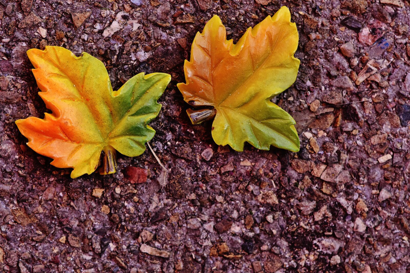 Nikon D7200 sample photo. Autumn, leaf, leaves in photography