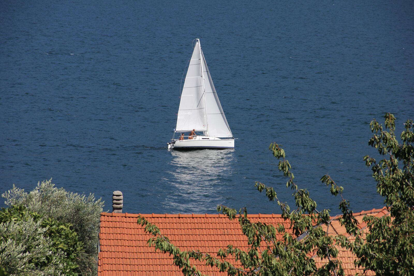Canon EOS 550D (EOS Rebel T2i / EOS Kiss X4) sample photo. Water, summer, nature photography
