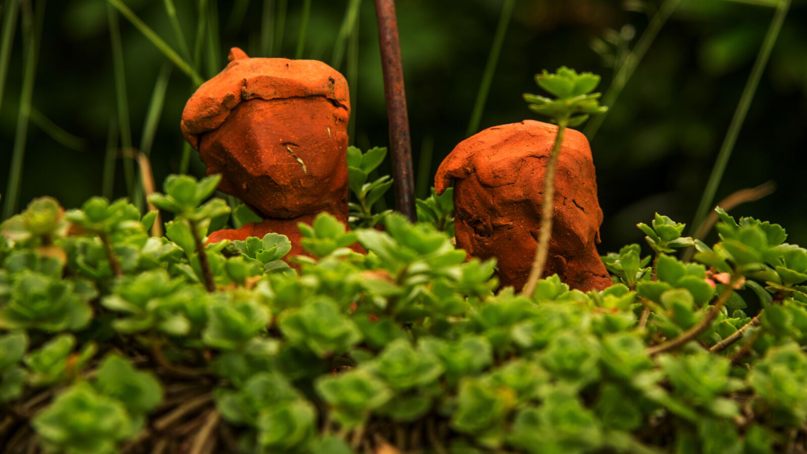 Canon EF-S 17-85mm F4-5.6 IS USM sample photo. Pair, garden, love photography