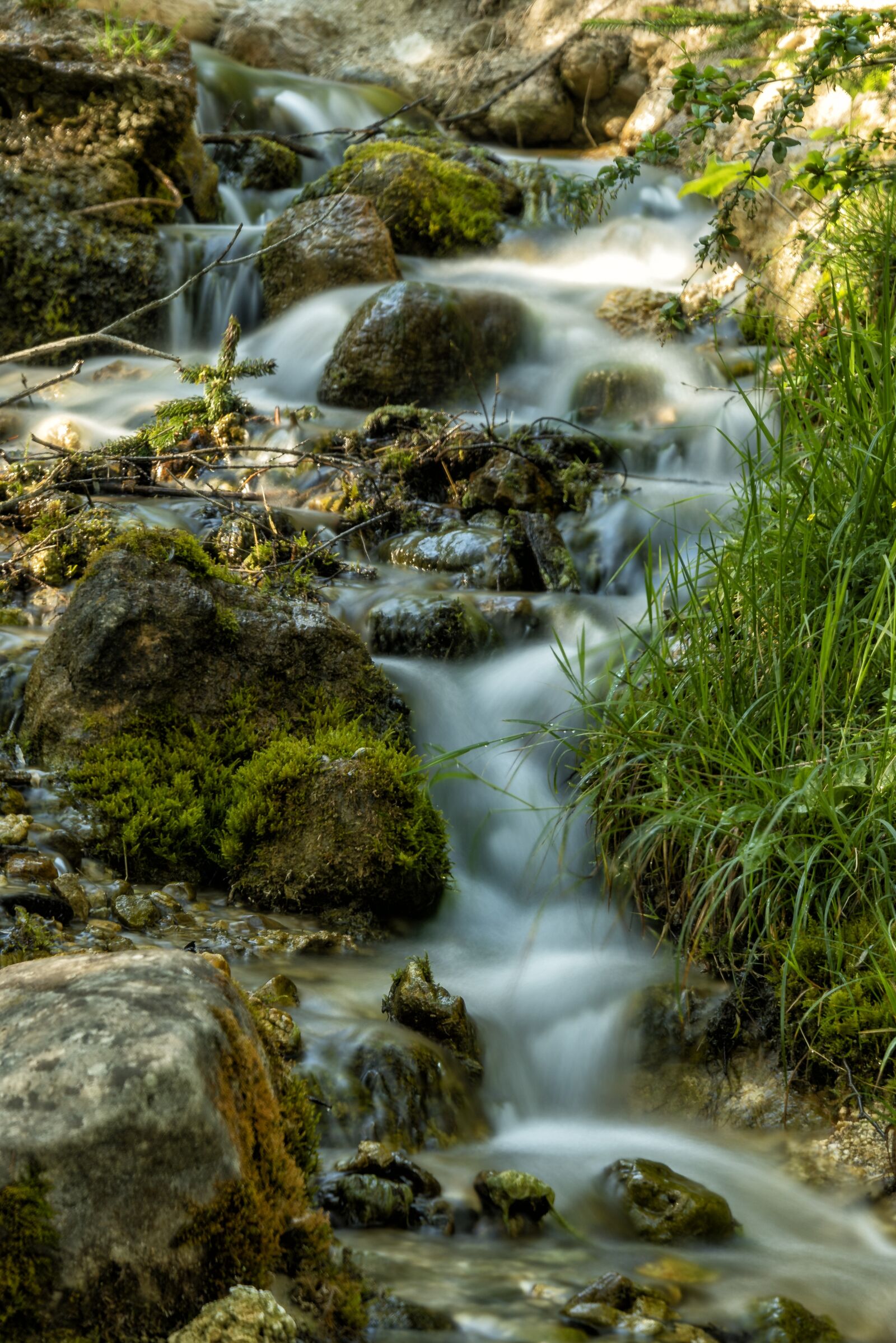 Nikon D750 sample photo. Nature, landscape, tyrol photography