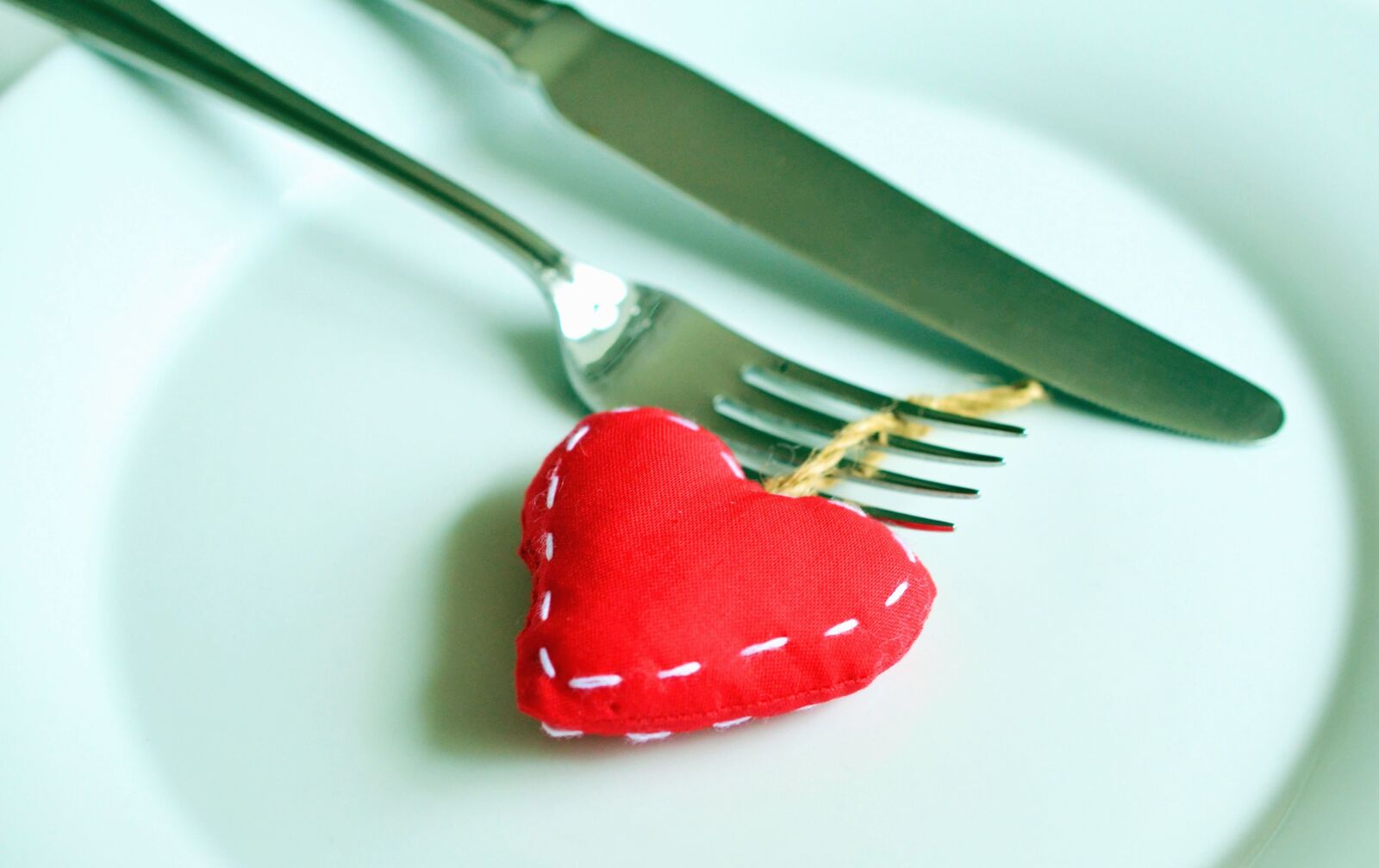 Nikon D5100 sample photo. Plate, fork, knife, cutlery photography