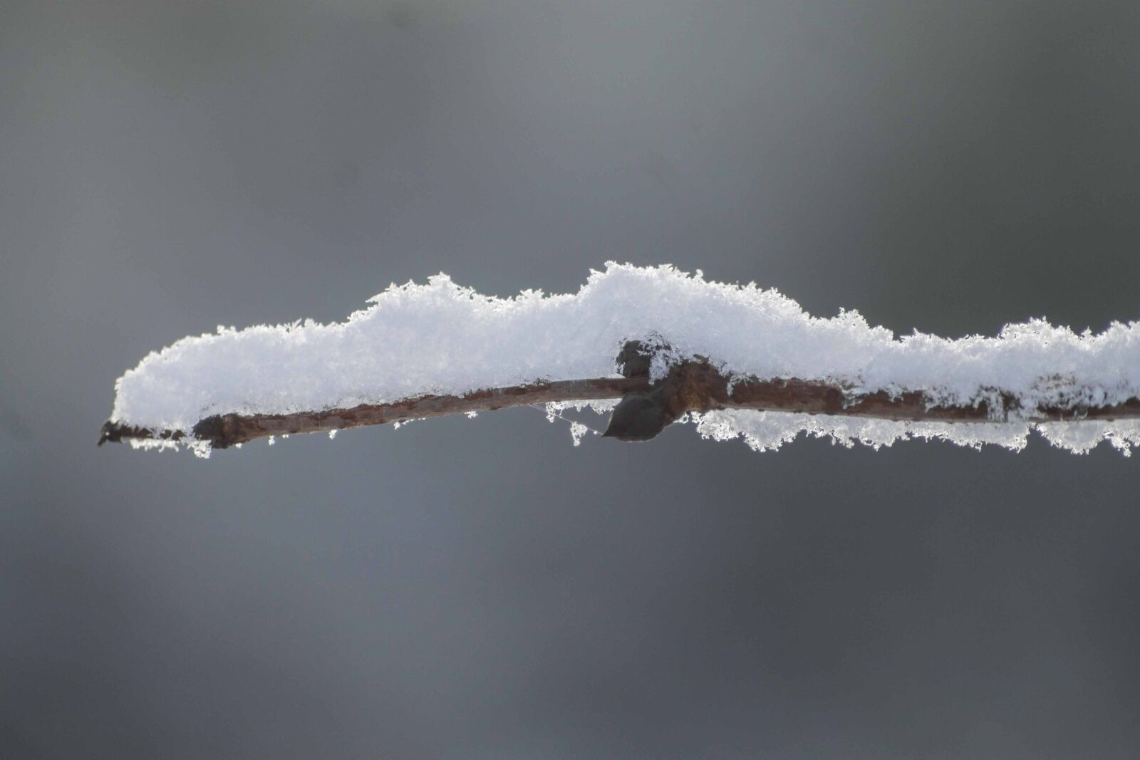 Canon EOS 1100D (EOS Rebel T3 / EOS Kiss X50) sample photo. Snow, snow crystals, frost photography