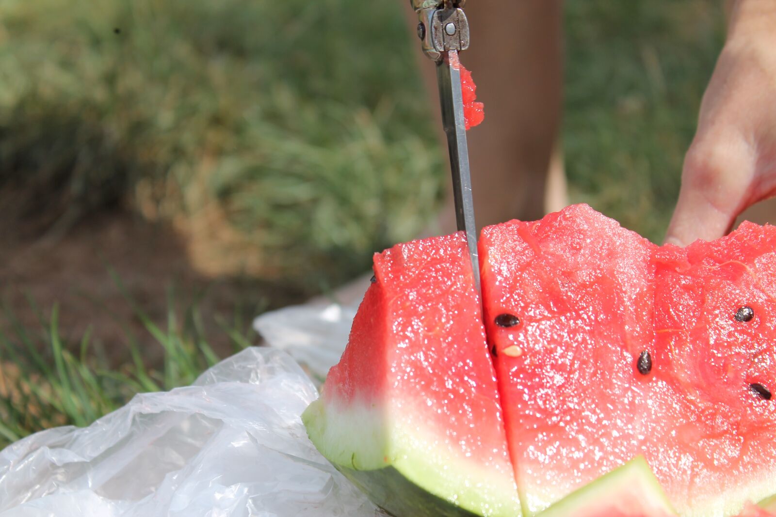 Canon EOS 1100D (EOS Rebel T3 / EOS Kiss X50) sample photo. Watermelon, melon, fruit photography