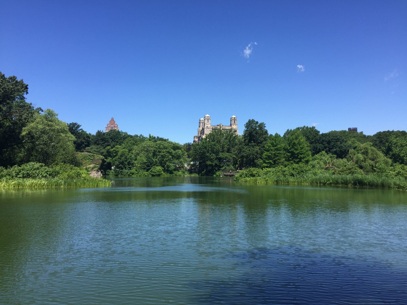 Apple iPhone 6 sample photo. Central park, new york photography