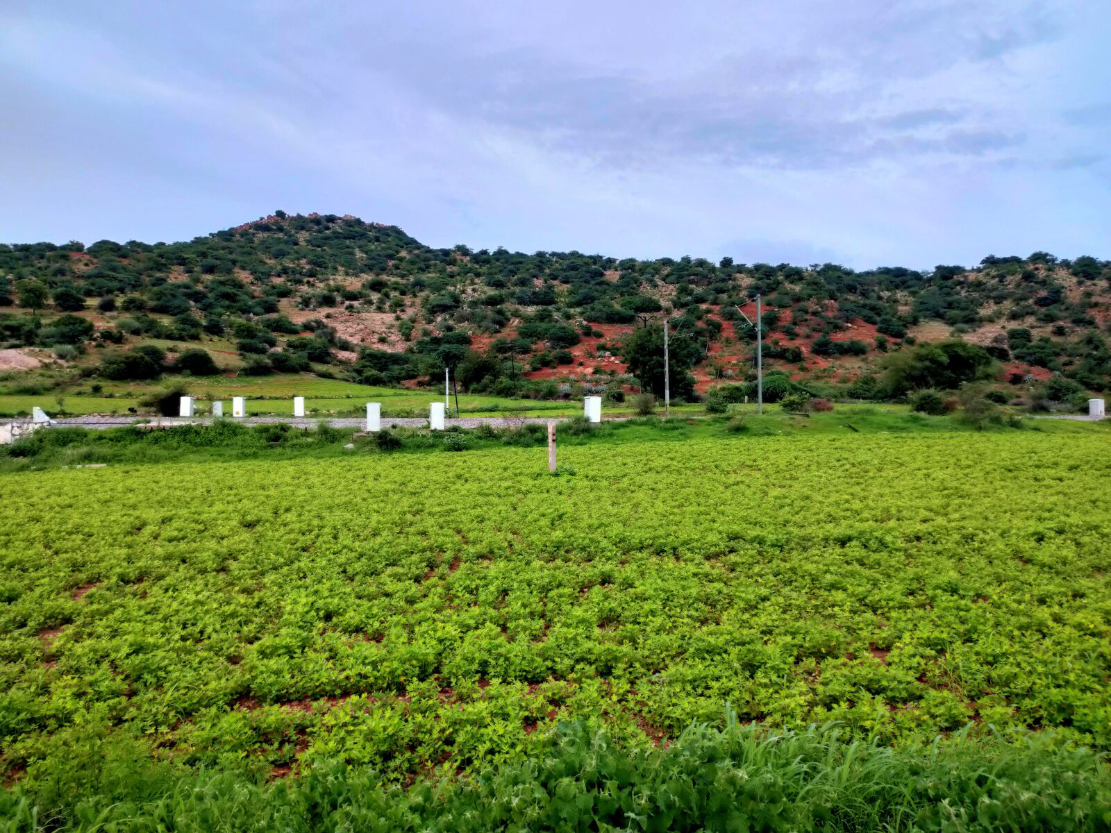 Realme XT sample photo. Mountian, green, trees photography