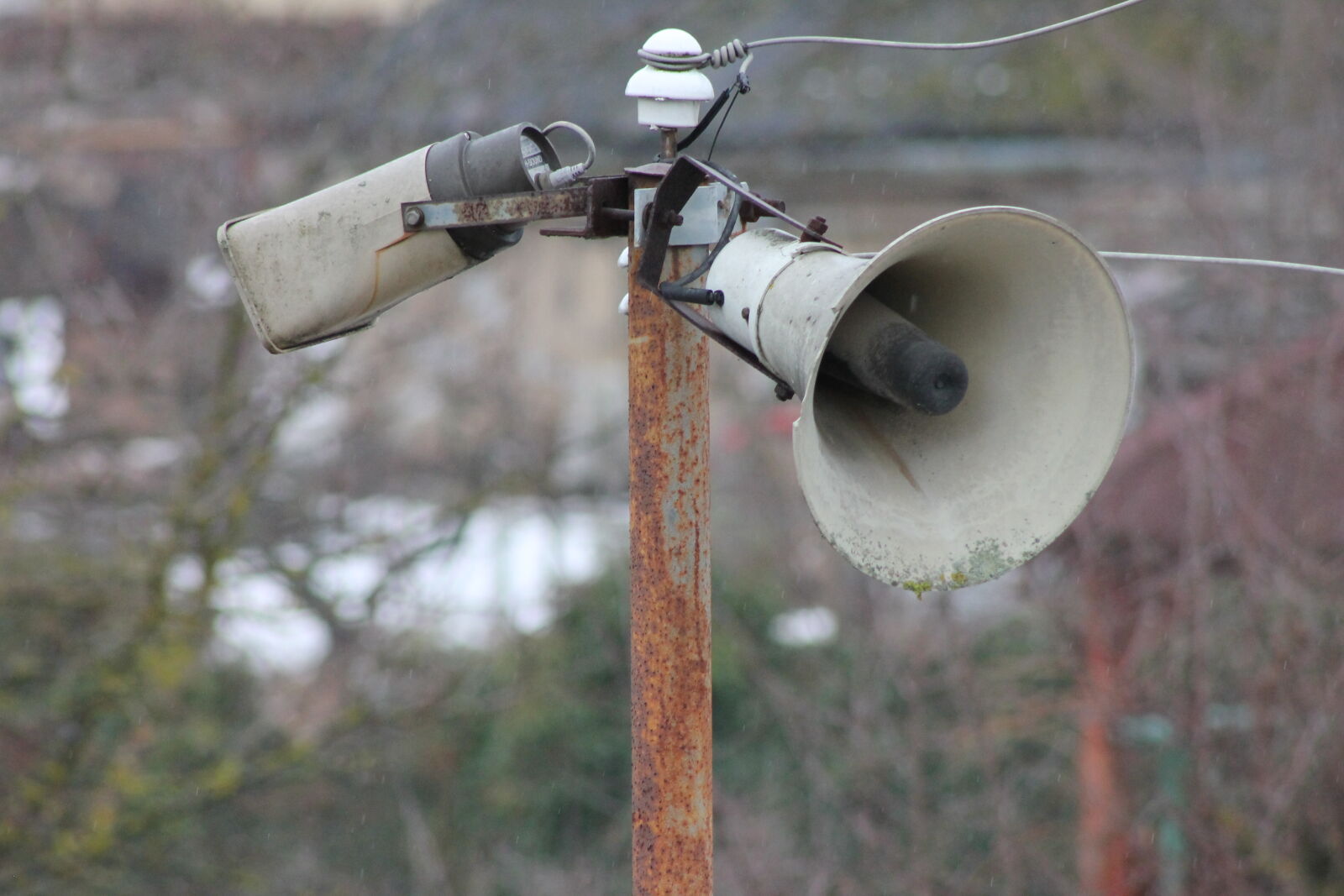 Canon EF 75-300mm f/4-5.6 sample photo. Speakers photography