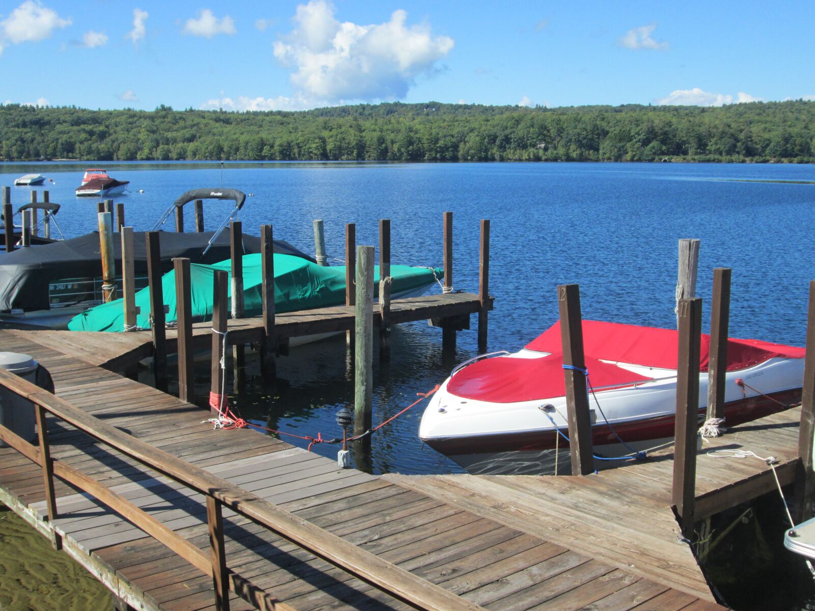 Canon PowerShot A1400 sample photo. Water, dock, lake photography