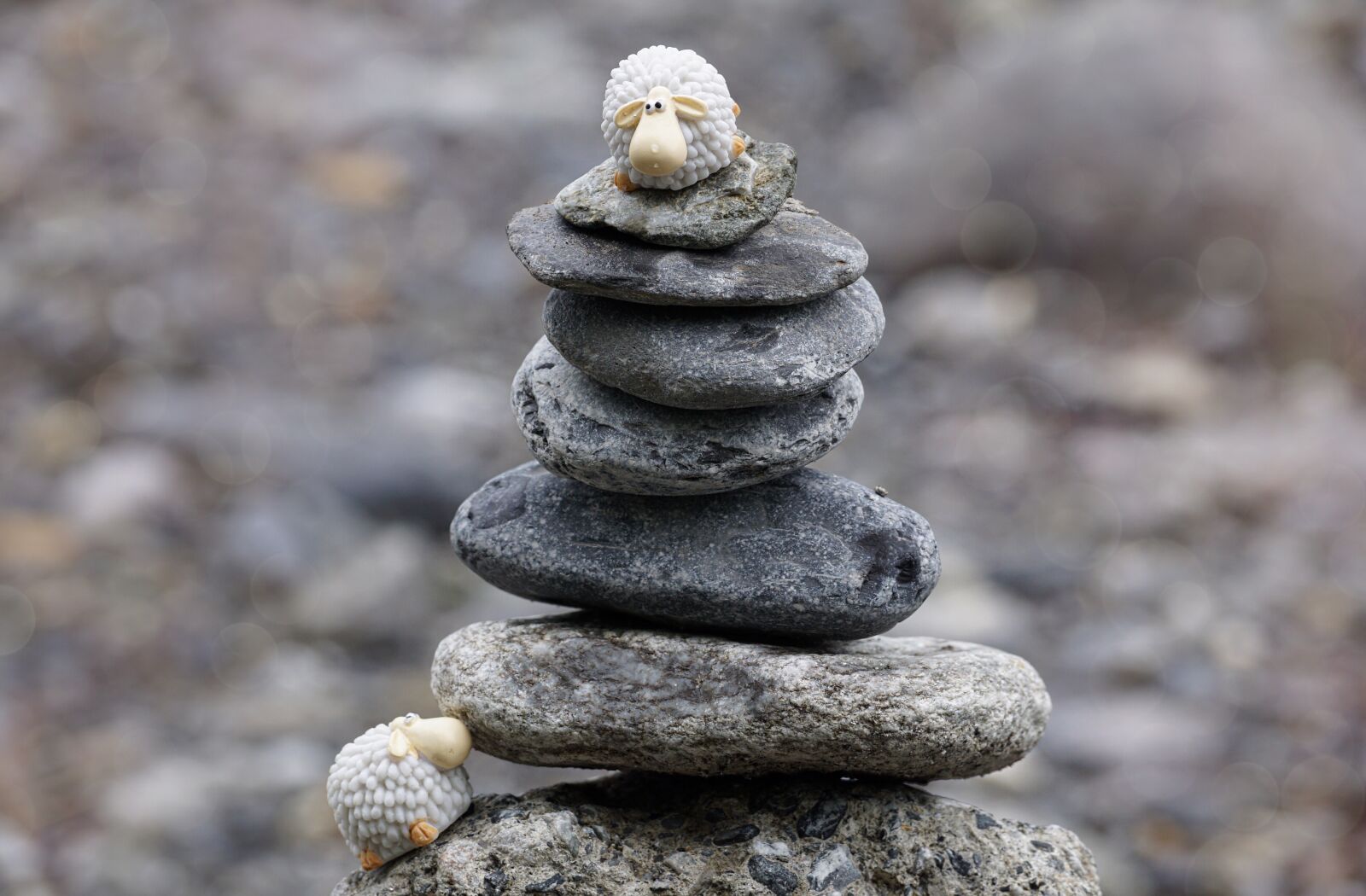 Sony DT 55-300mm F4.5-5.6 SAM sample photo. Stones, balance, nature photography