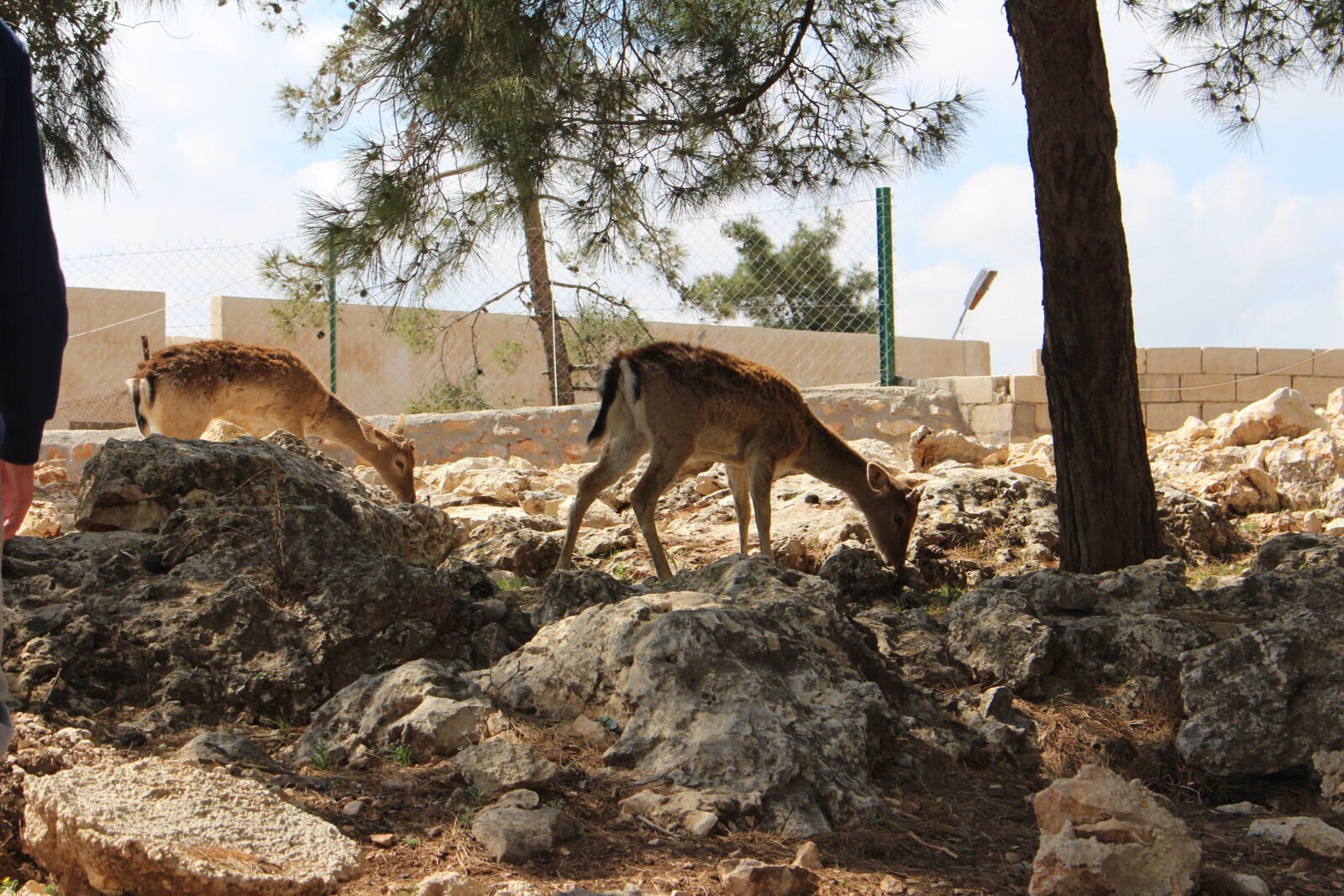 Canon EOS 700D (EOS Rebel T5i / EOS Kiss X7i) sample photo