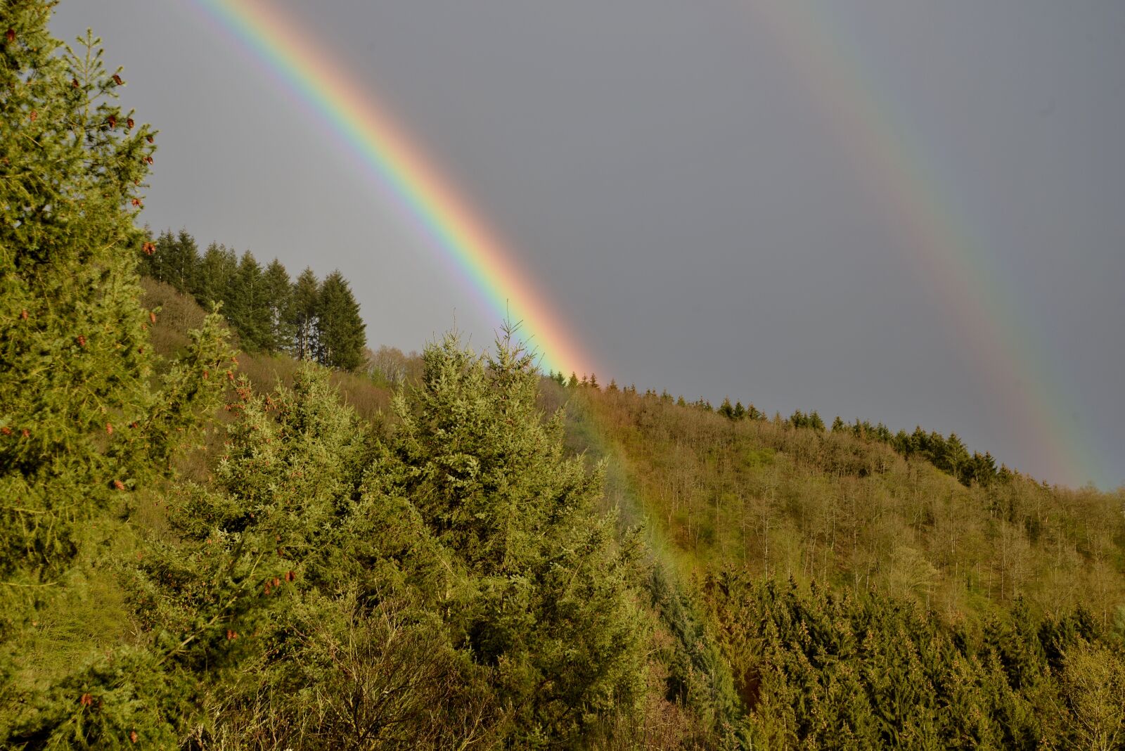 Nikon D600 sample photo. Rainbow, nature, landscape photography