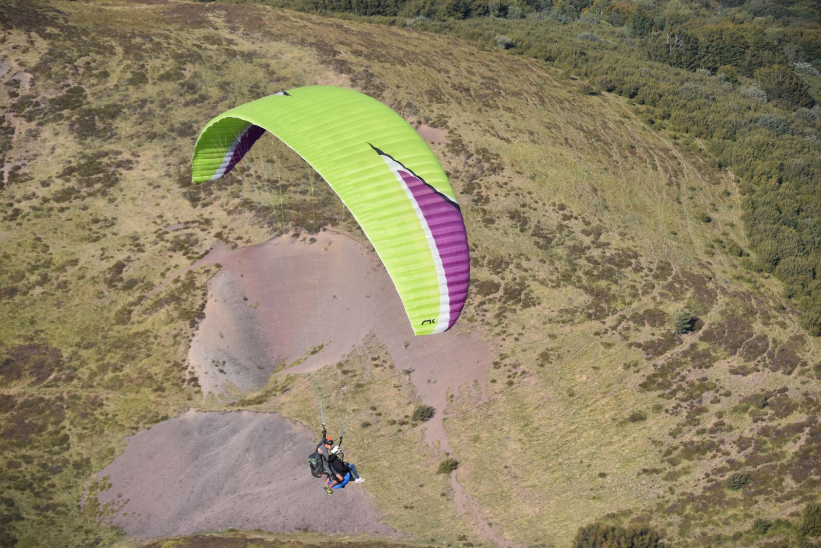 Nikon D5600 sample photo. Paragliding, paraglider, free flight photography