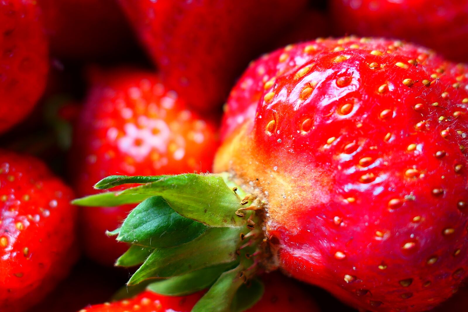 Panasonic Lumix DMC-LX10 (Lumix DMC-LX15) sample photo. Strawberry, fruit, fruits photography