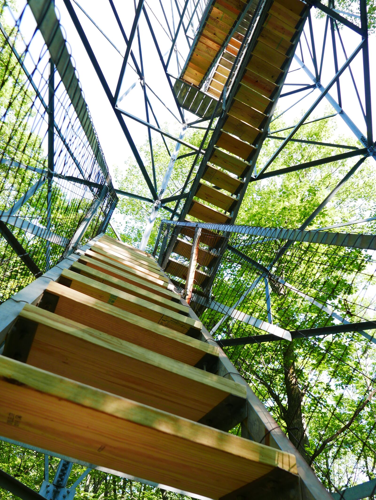 Panasonic Lumix DMC-LX100 sample photo. Growth, stairs, success photography