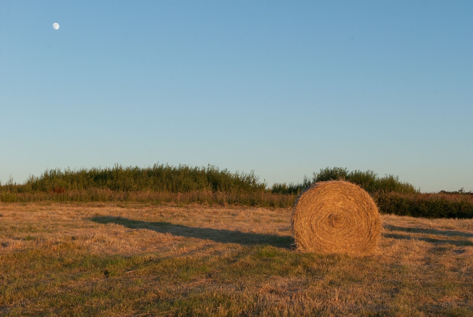 Nikon D80 sample photo. Boot, fields, sunset photography