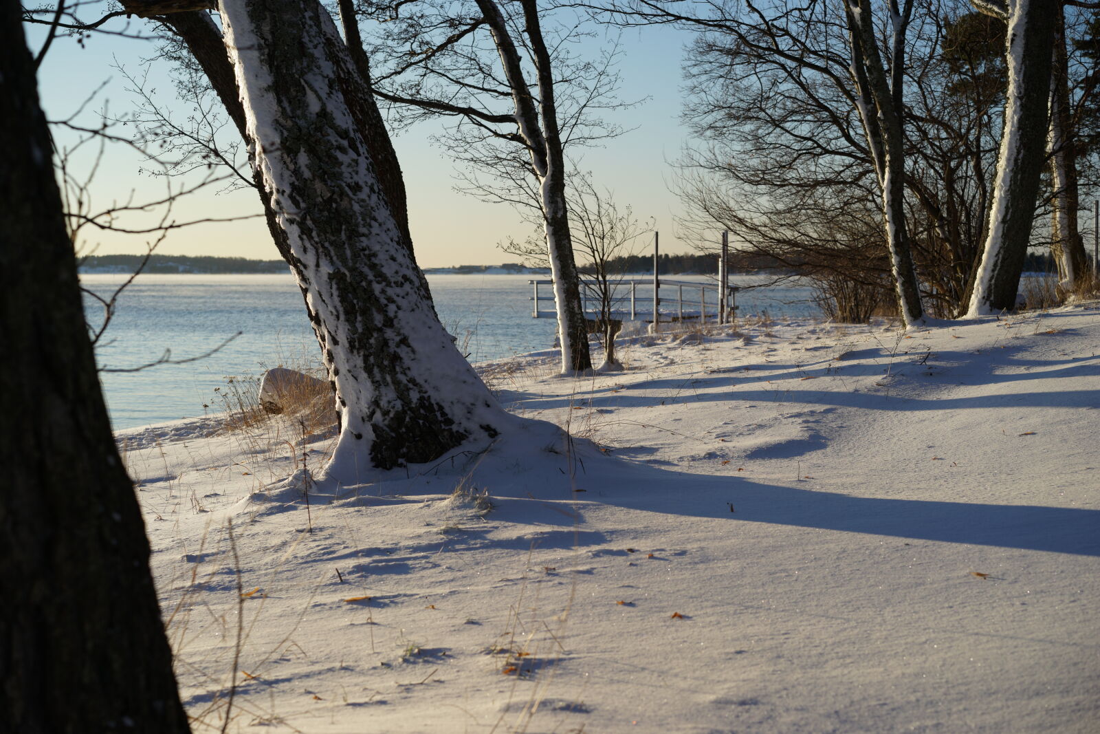 Sony Sonnar T* FE 55mm F1.8 ZA sample photo. Seaside snow photography