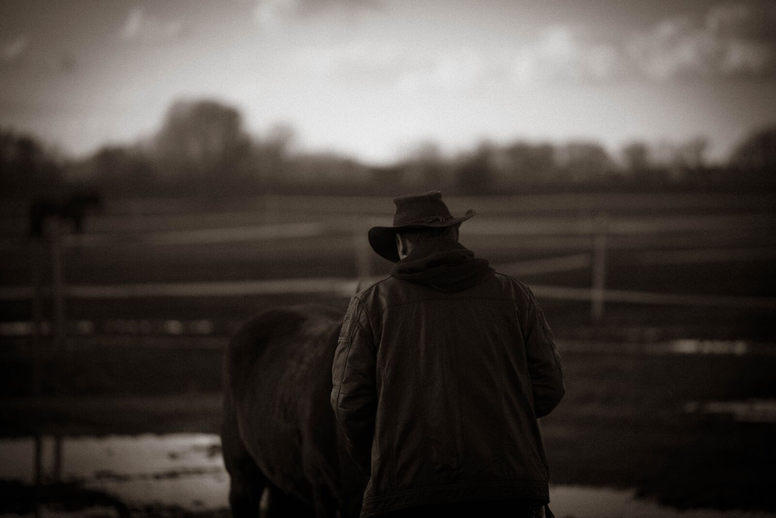 Nikon D750 sample photo. Western, animal, human photography