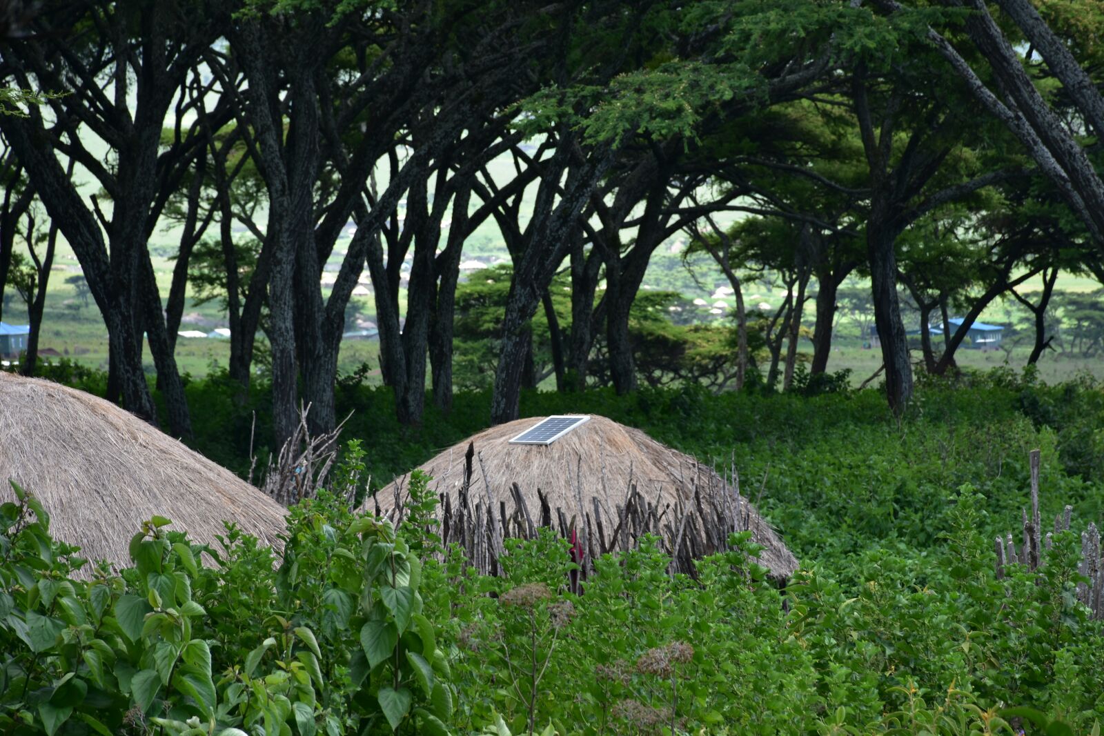 Nikon D7200 sample photo. Tanzania, masai, africa photography