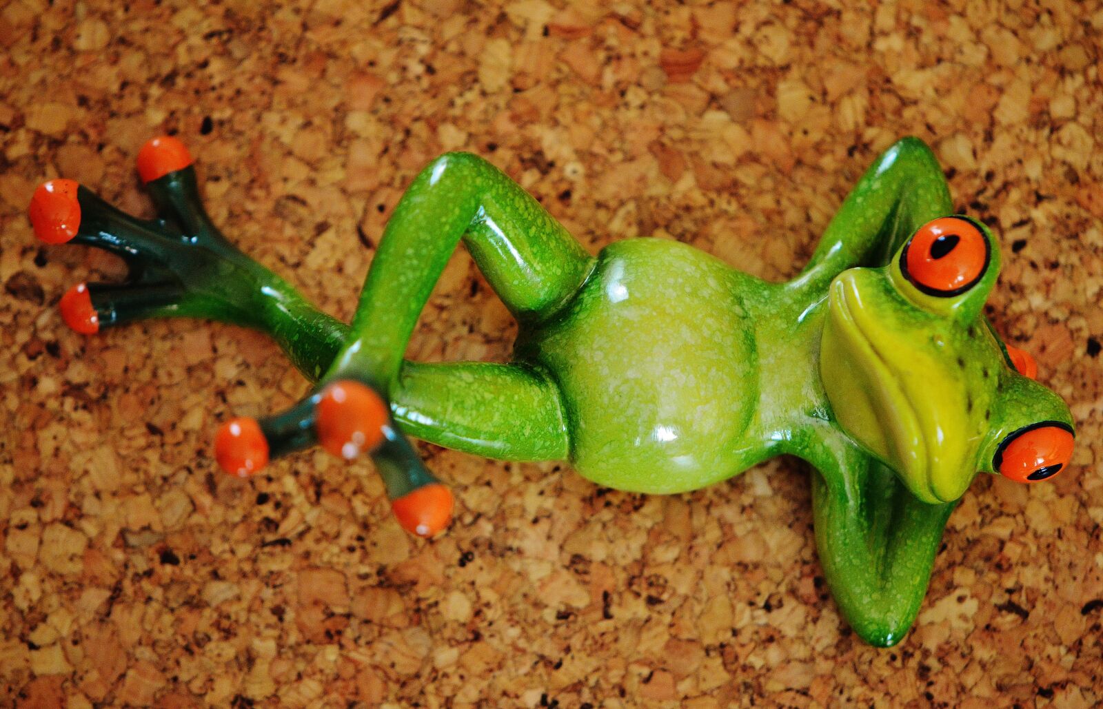 Nikon D3200 sample photo. Frog, funny, figure photography