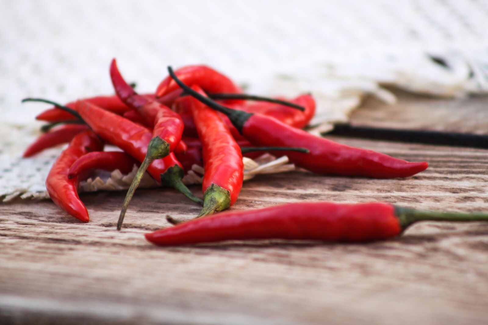 Canon EOS 500D (EOS Rebel T1i / EOS Kiss X3) sample photo. Pepper, red pepper, chile photography