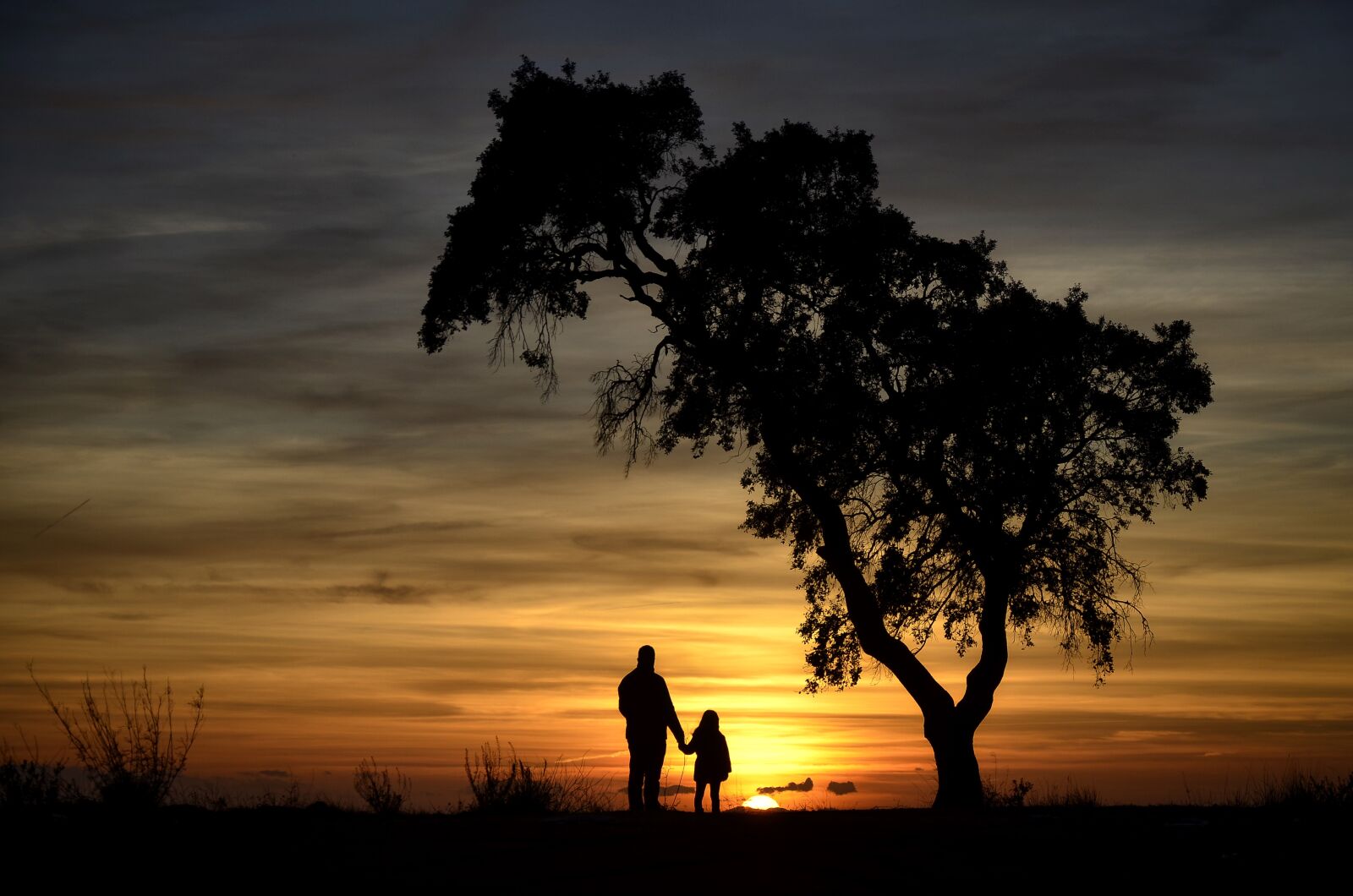 Nikon D7000 sample photo. Backlight, nature, sunset photography