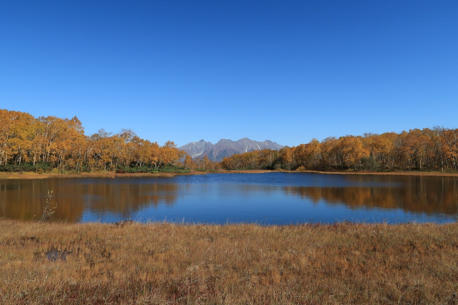 Canon PowerShot G7 X Mark II sample photo. Autumn, lake, forest photography