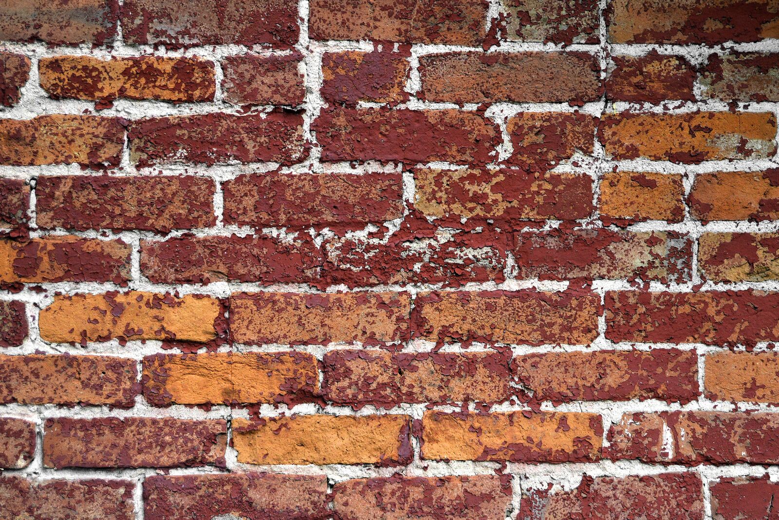 Nikon D3200 sample photo. Brick, wall, background photography
