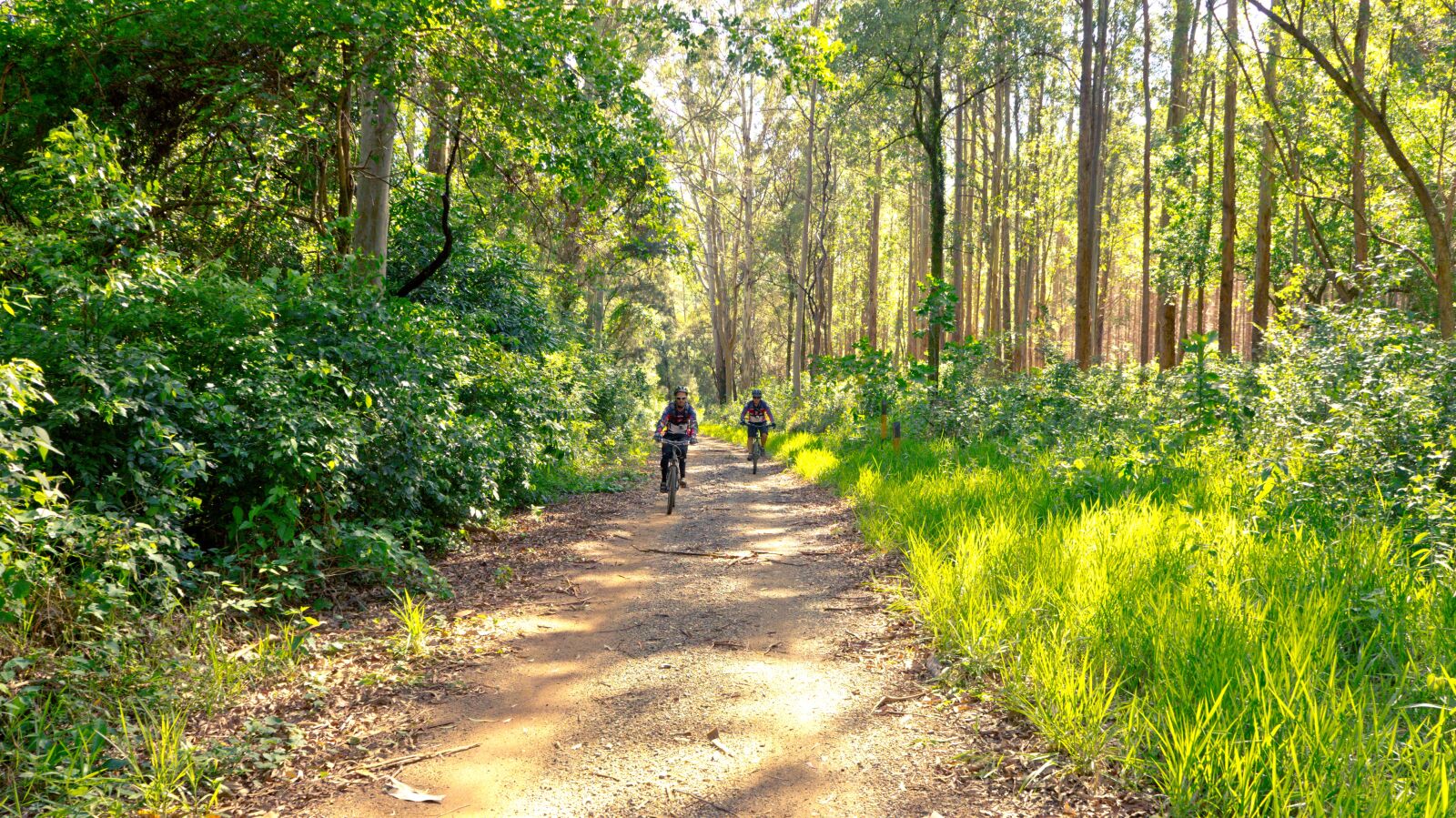 Sony Alpha a3000 sample photo. Nature, cyclists, bike photography